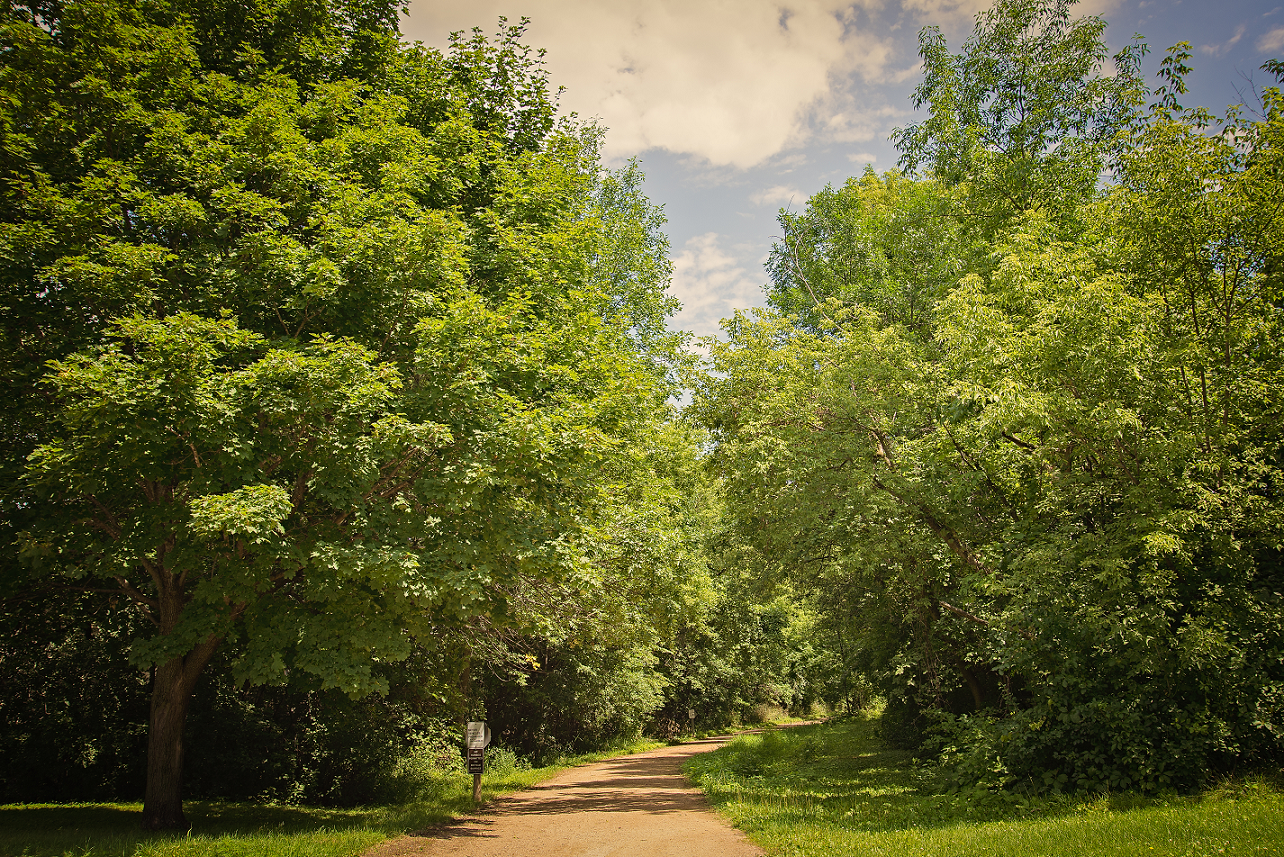 ShelbyJadePhotography-45 resize 3.png