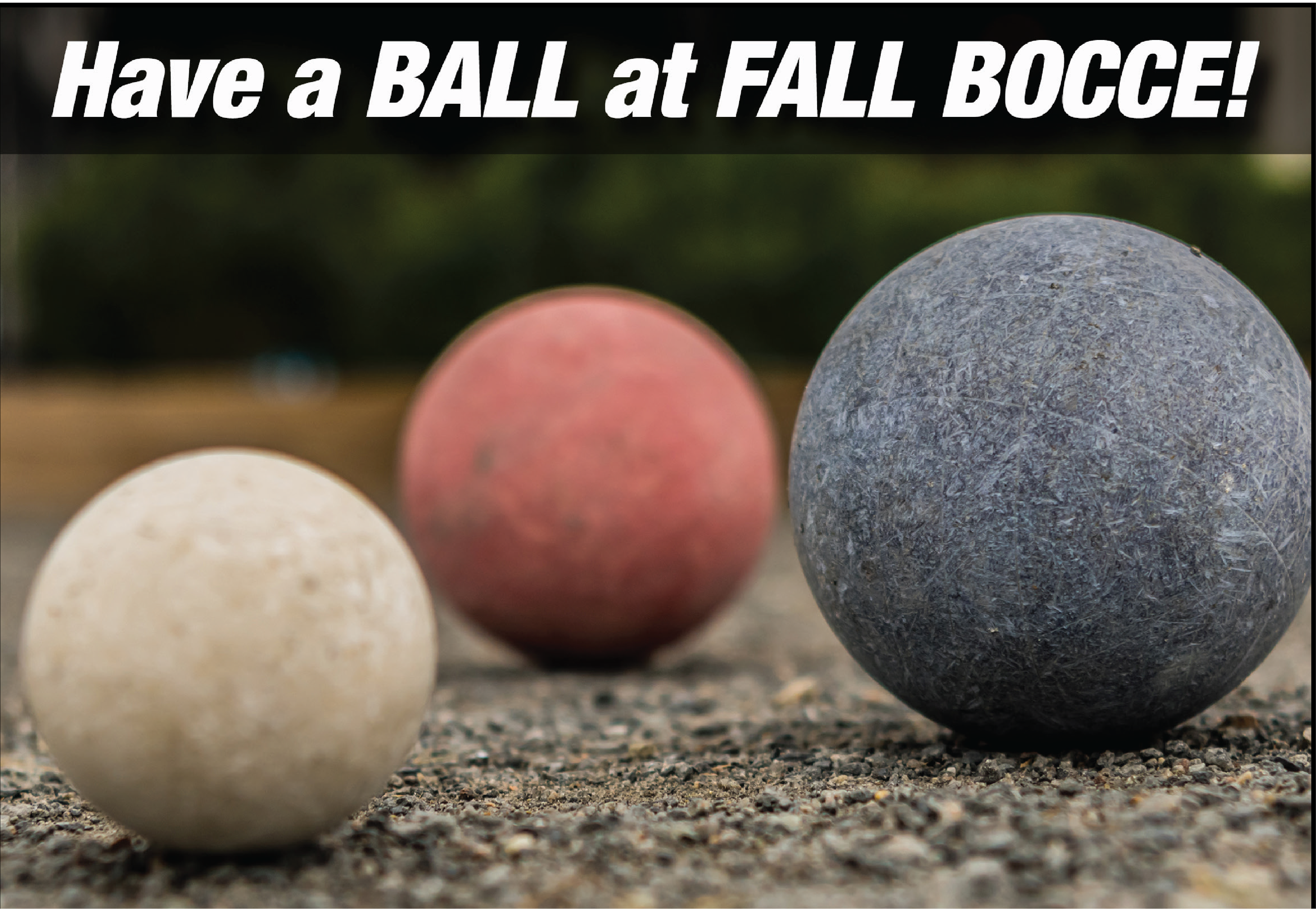 FallBoccePictureAsset 1.png