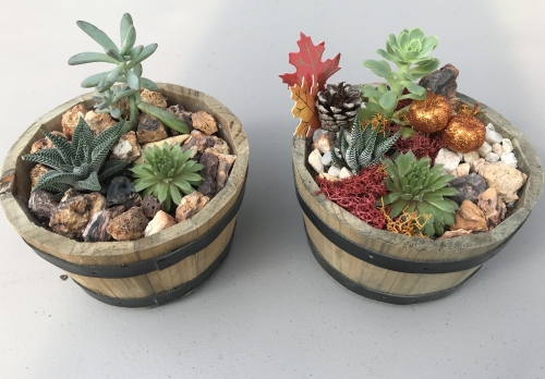 PlantNite3.jpeg