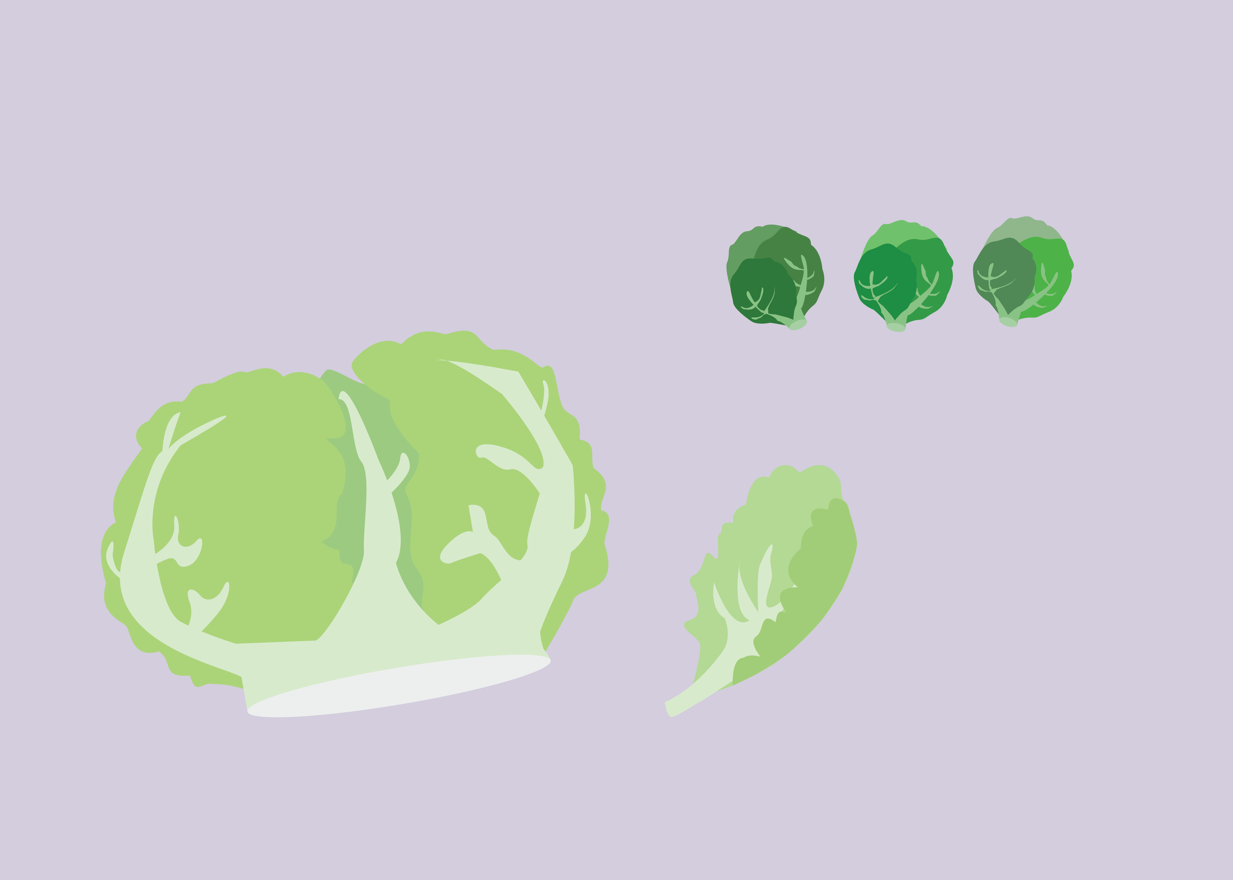 lettuce and sprouts.png