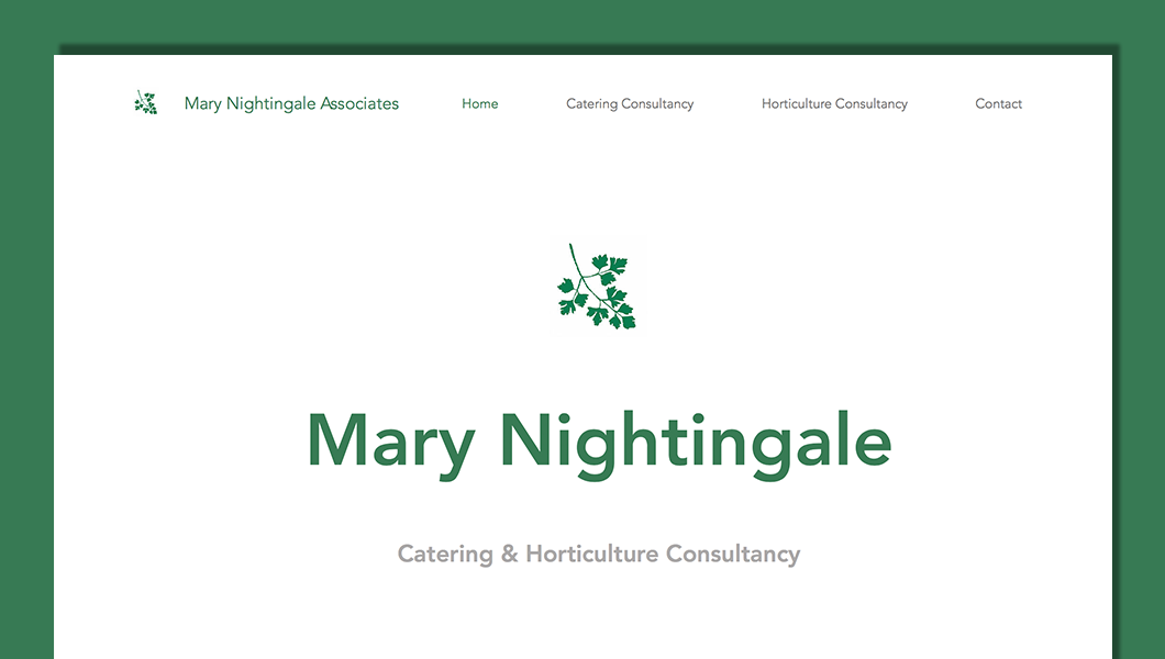 MNA landing page.png