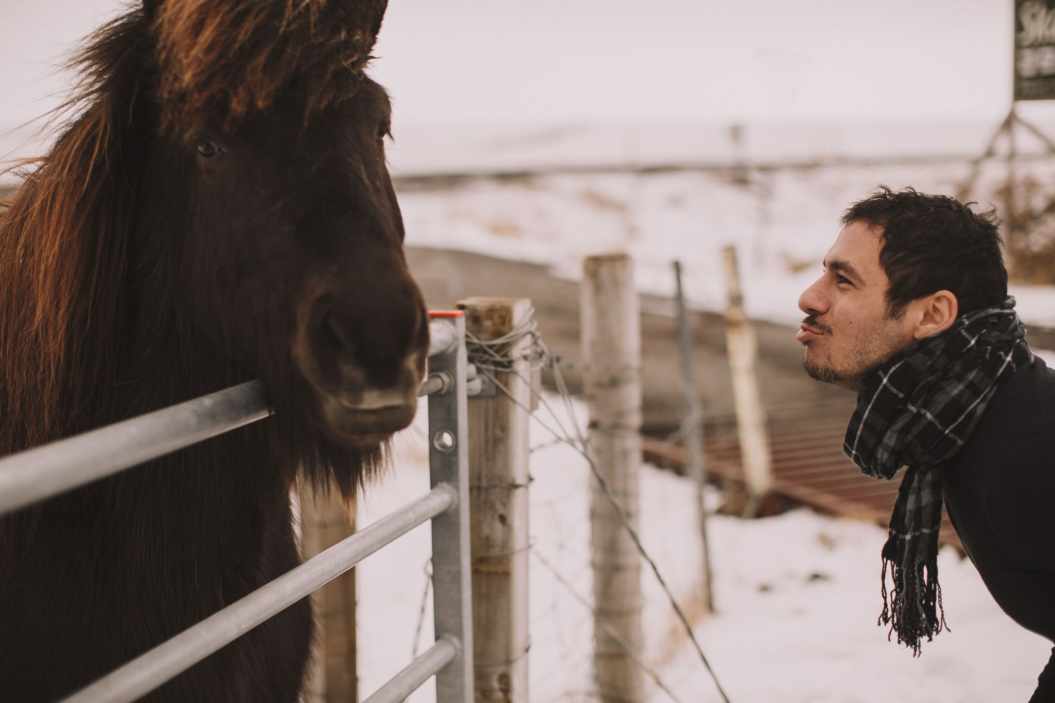 Road-trip-Islande-Iceland-Voyage-Travel-Portrait-Jérémy-Boyer-Geysir-Geysers-Horse-snow-ice-Gullfoss-4.jpg