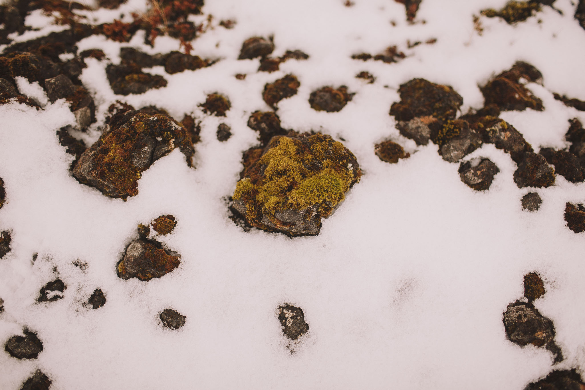 Road-trip-Islande-Iceland-Voyage-Travel-Portrait-Jérémy-Boyer-Geysir-Geysers-Horse-snow-ice-Gullfoss-11.jpg