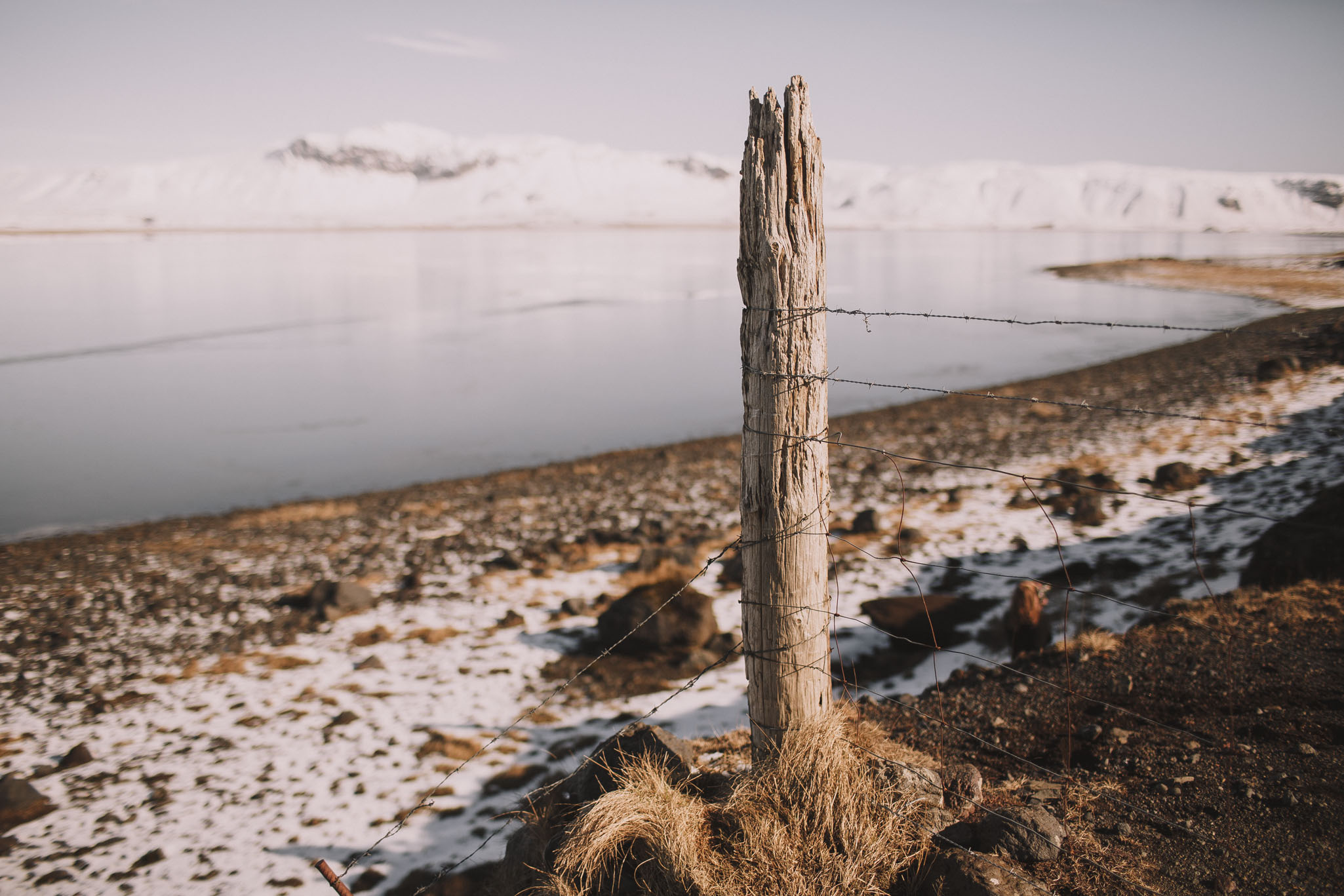 Road-trip-Islande-Iceland-Voyage-Travel-Portrait-Jérémy-Boyer-Sunny-day-between-Skogafoss-Dyrholaey-2.jpg