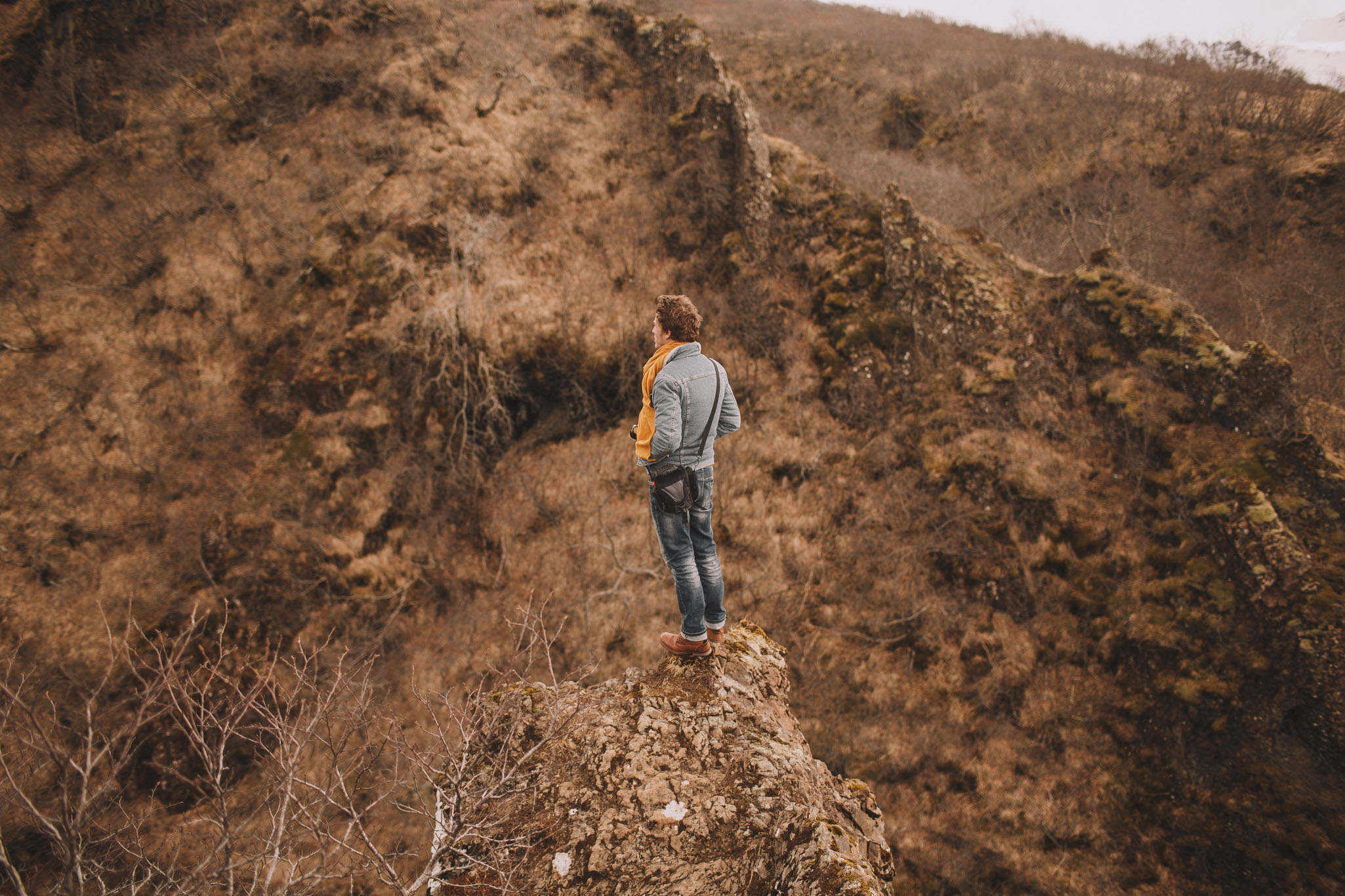 Road-trip-Islande-Iceland-Voyage-Travel-Portrait-Jérémy-Boyer-Svartifoss-8.jpg