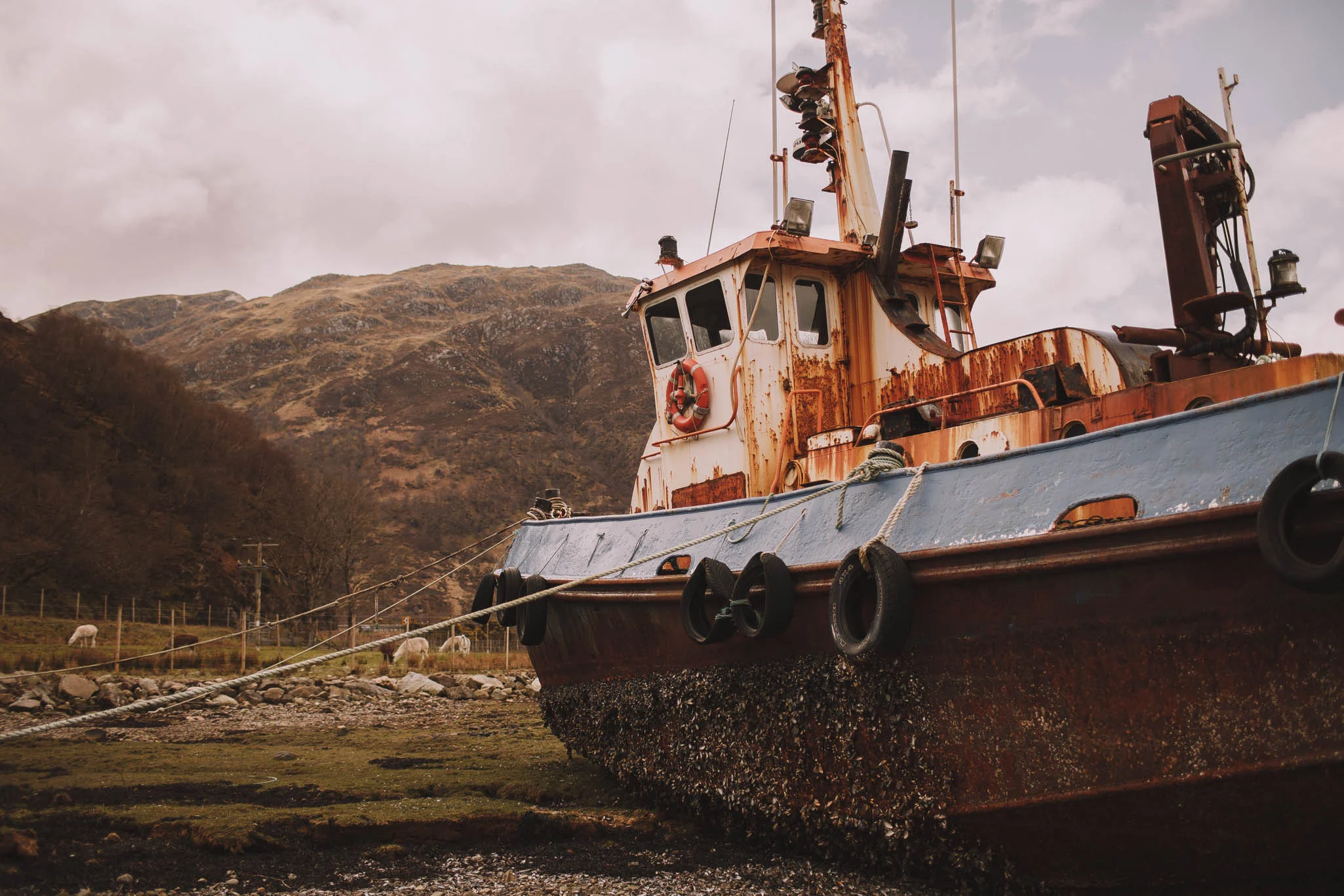 Scotland-wedding-photographer-jeremy-boyer-photographe-mariage-ecosse-voyage-road-trip-travel-40.jpg