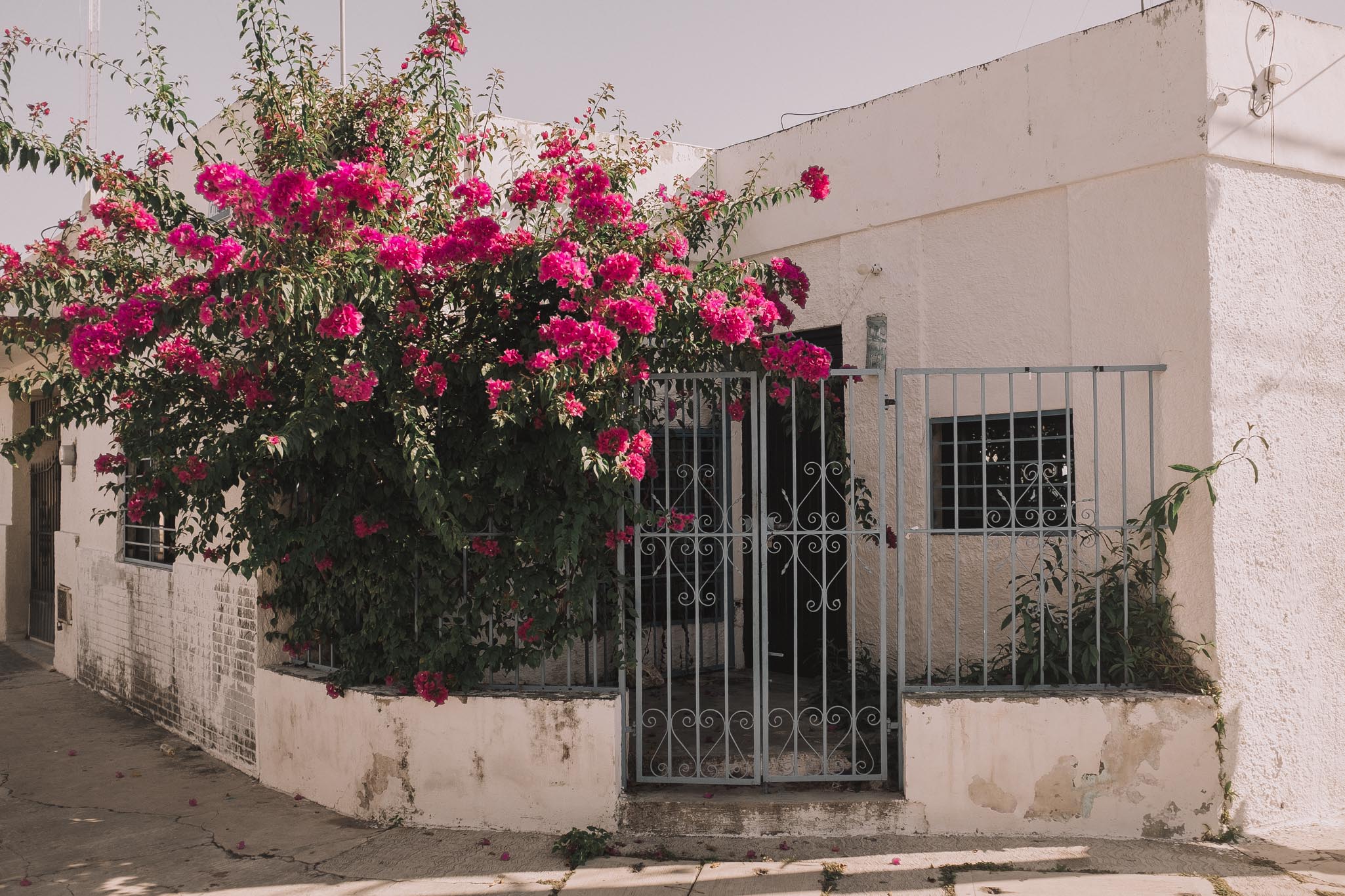 destination-wedding-photographer-mexico-merida-yucatan-photographe-mariage-bordeaux-jeremy-boyer-12.jpg