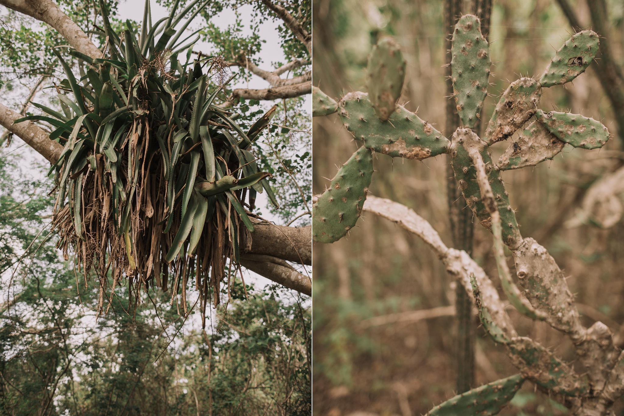 destination-wedding-photographer-mexico-merida-yucatan-photographe-mariage-bordeaux-jeremy-boyer-16.jpg