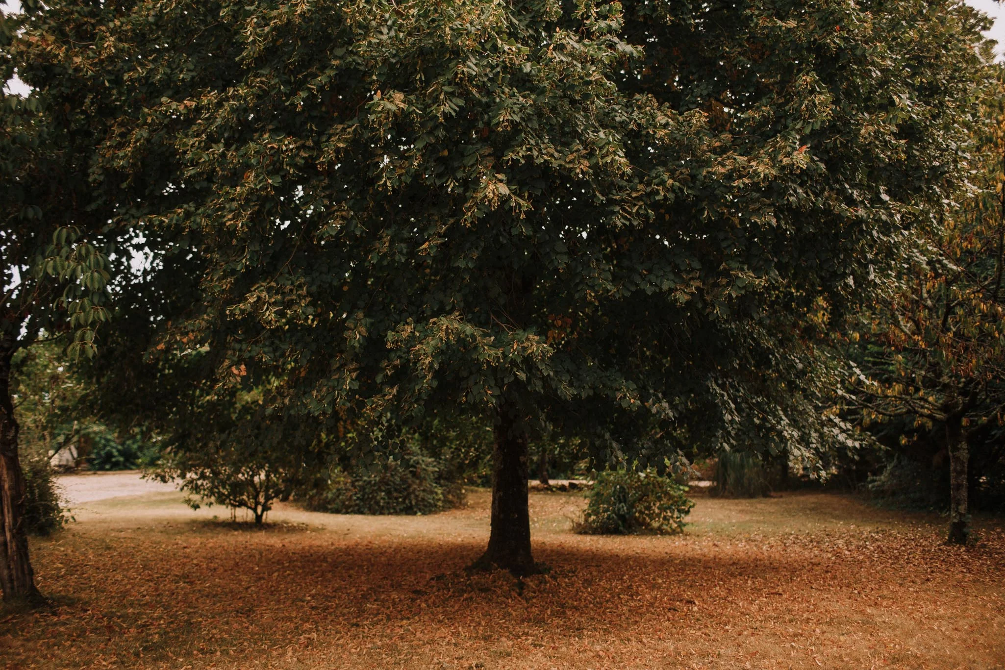 Photographe-mariage-bordeaux-jeremy-boyer-destination-wedding-france-allemagne-iran-dordogne-nastringues-puyan-paul-1.jpg