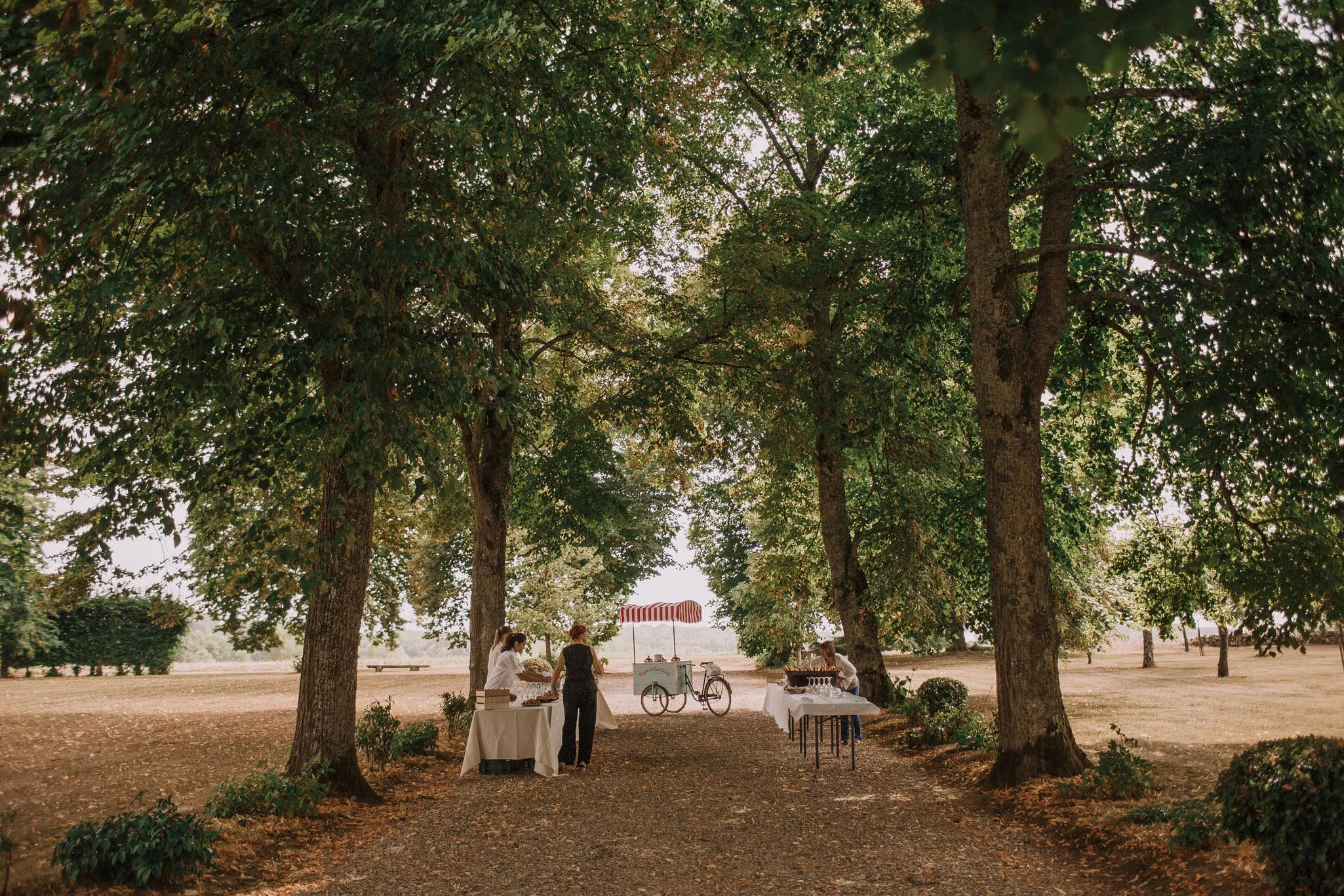Photographe-mariage-bordeaux-jeremy-boyer-destination-wedding-france-allemagne-iran-dordogne-nastringues-puyan-paul-51.jpg