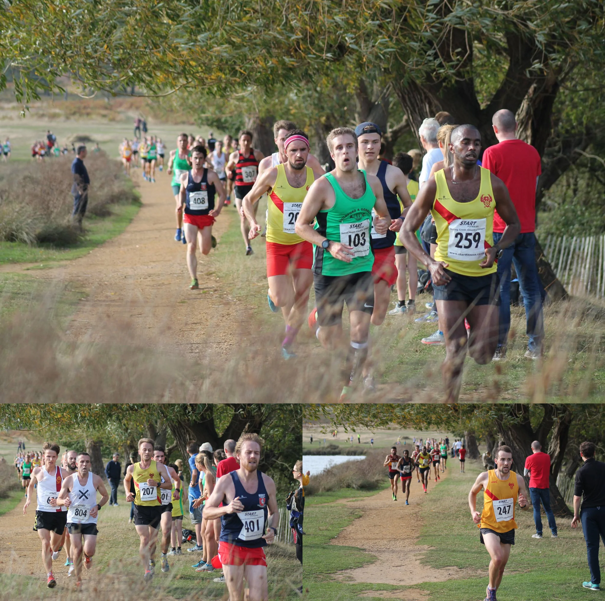 Surrey Mens League collage 2.jpg