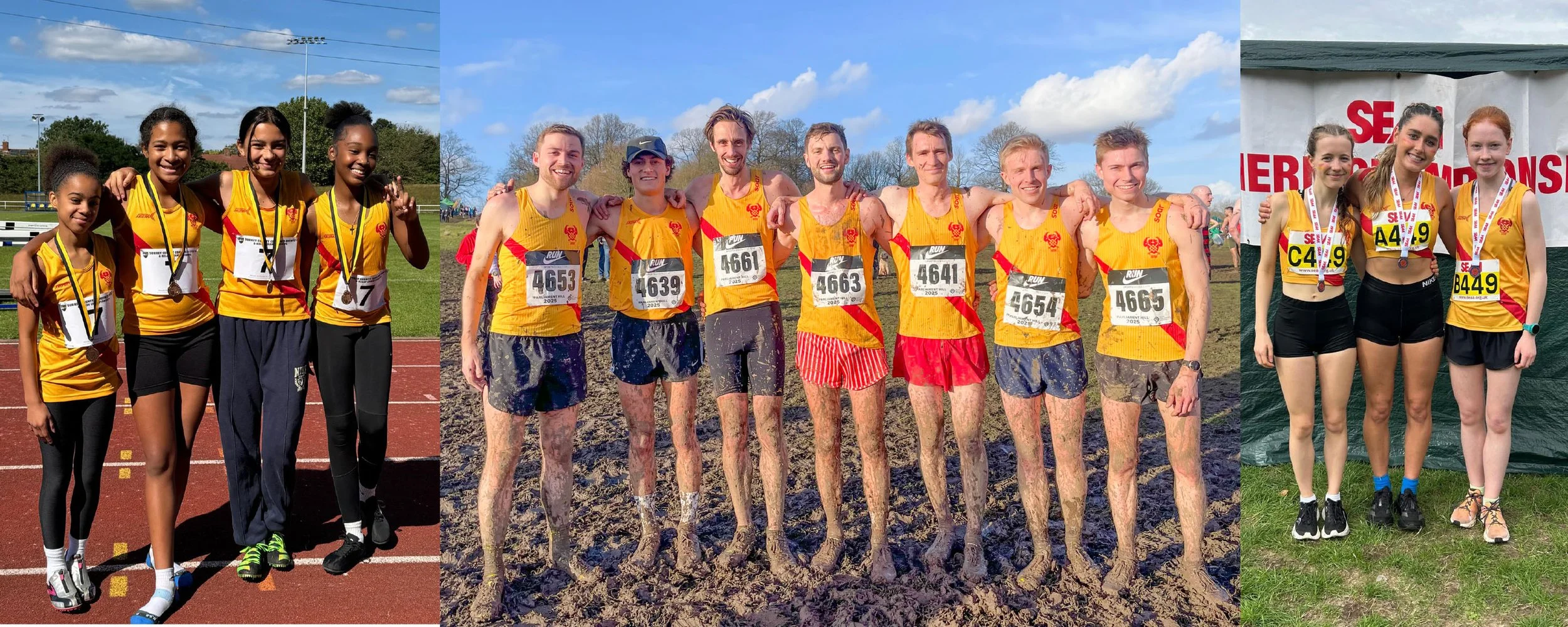 Collage 4 try this one.jpg