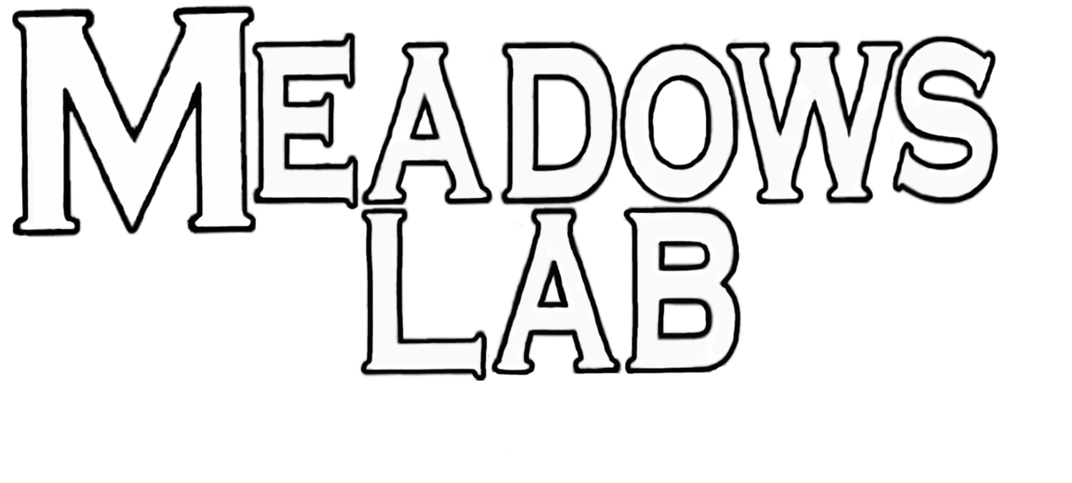 The Meadows Lab