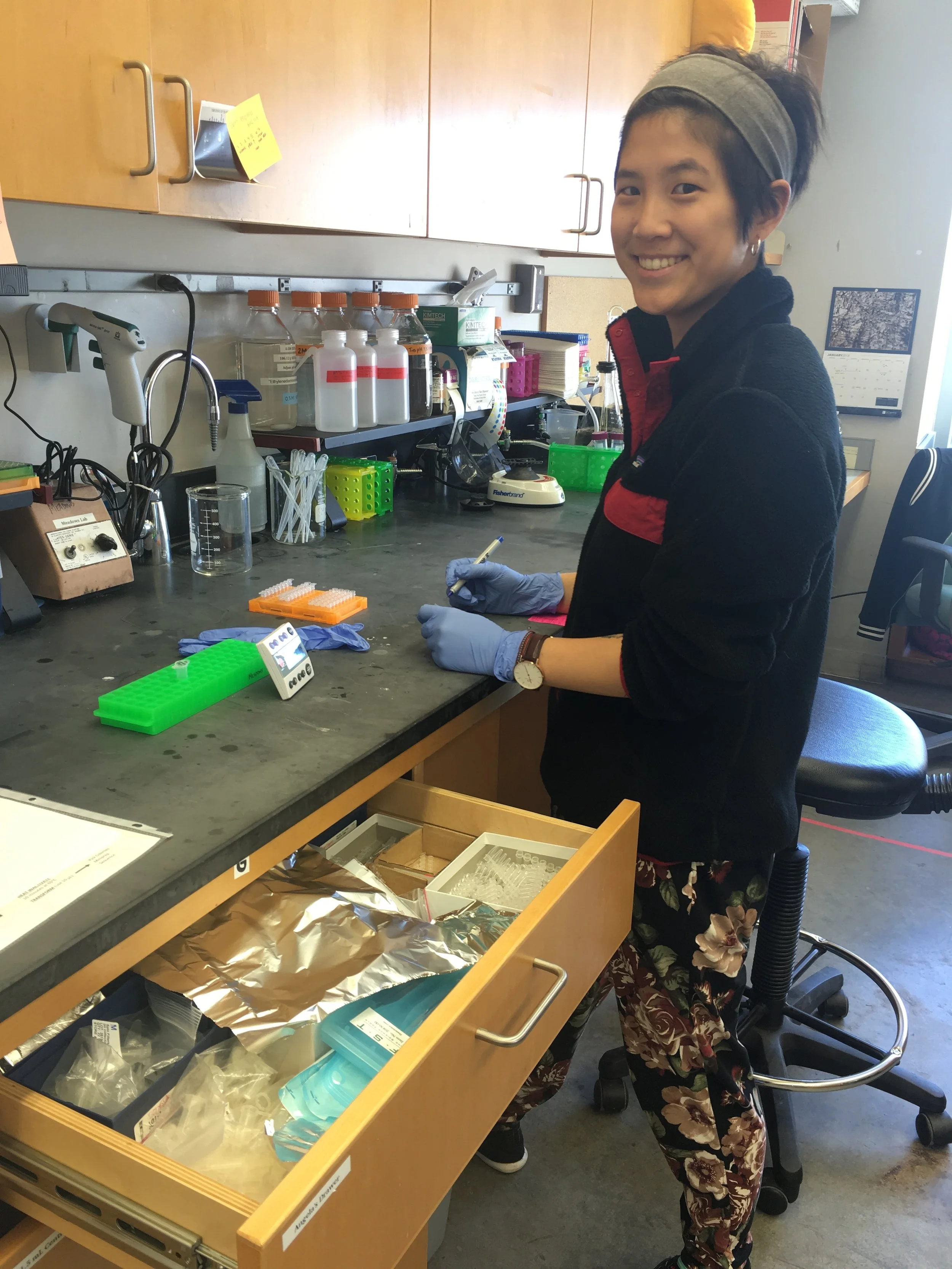 Amanda Preparing a PCR