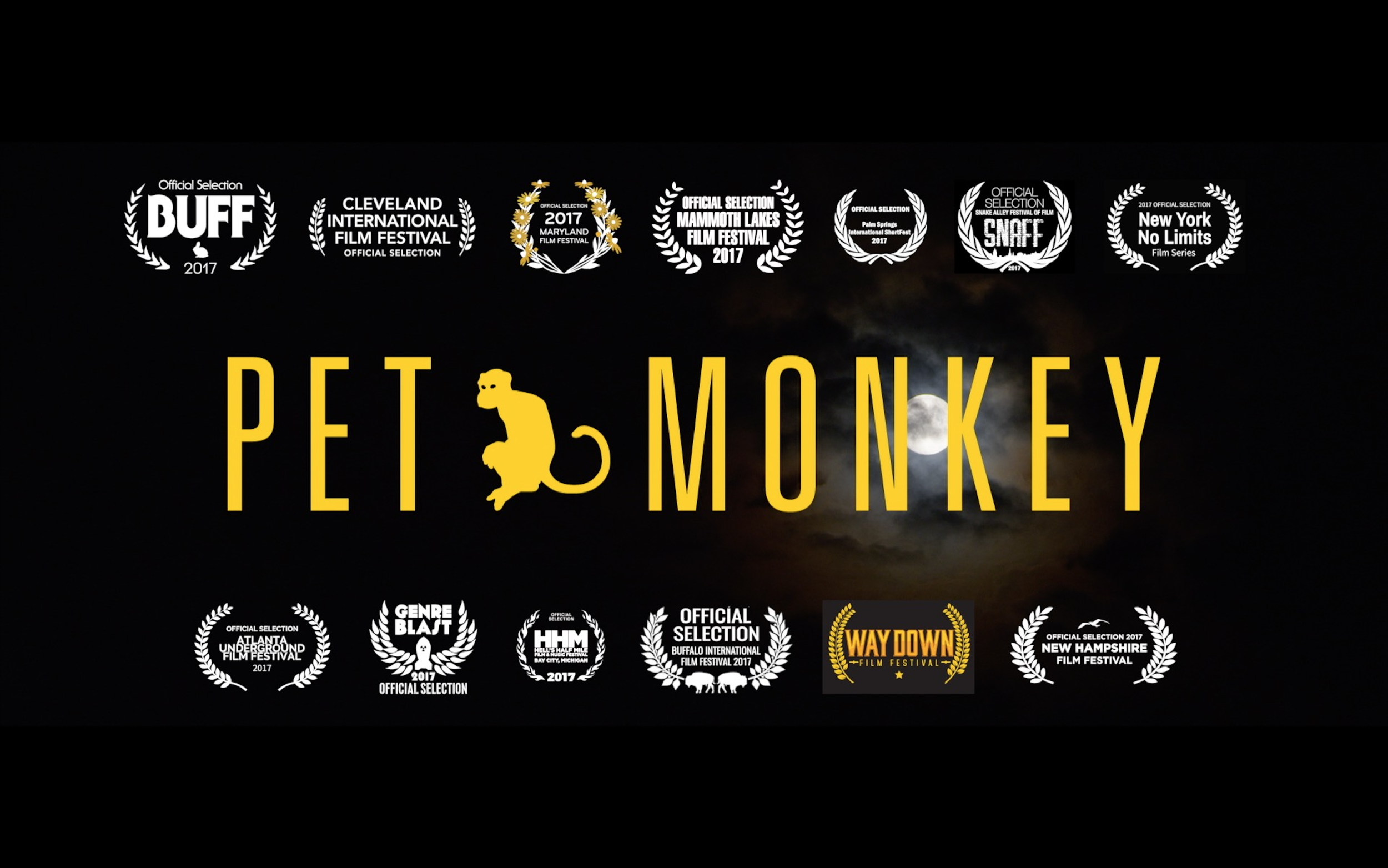 Pet Monkey • Teaser