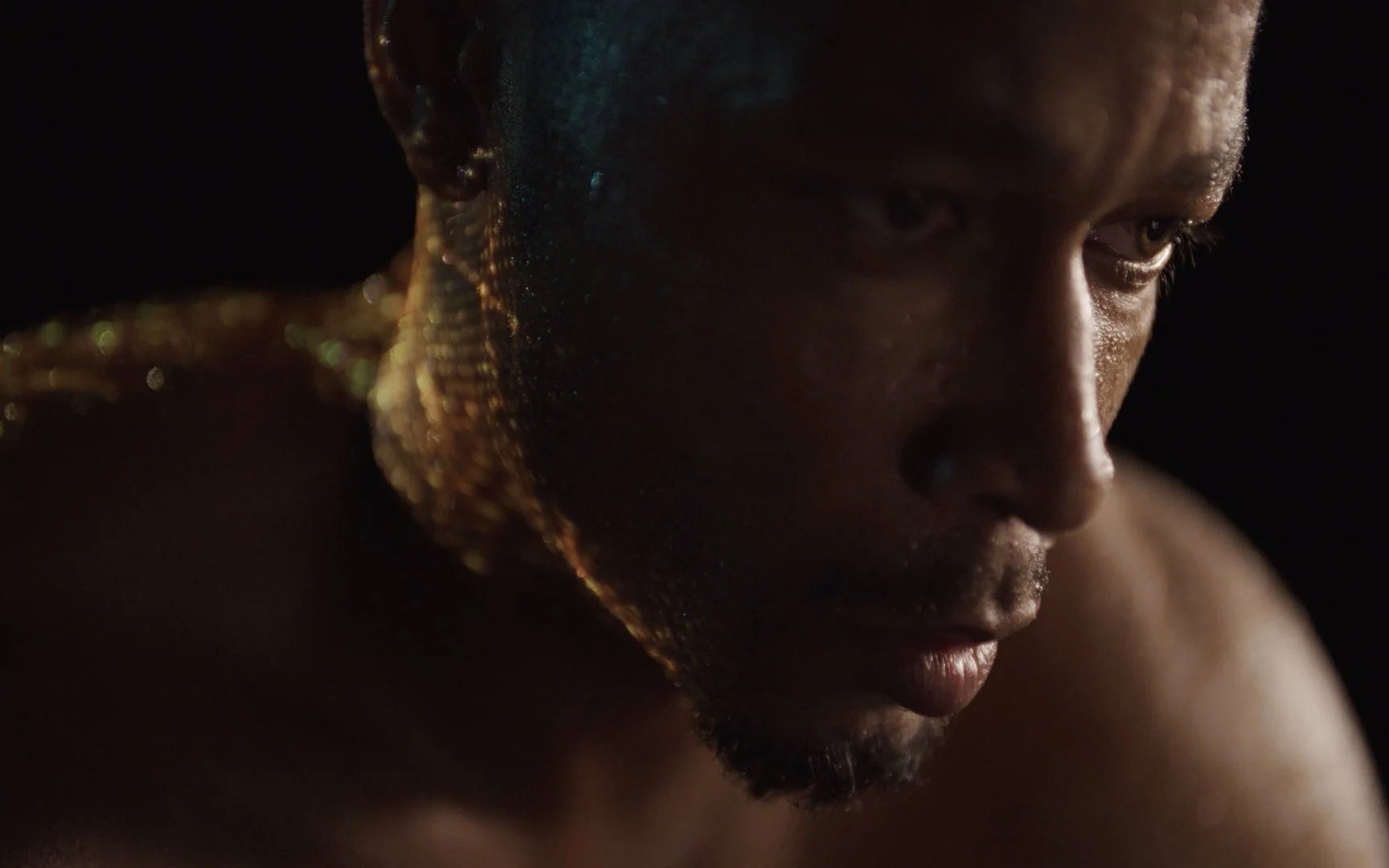 Sports Research • "The Data Within" • Directors Cut