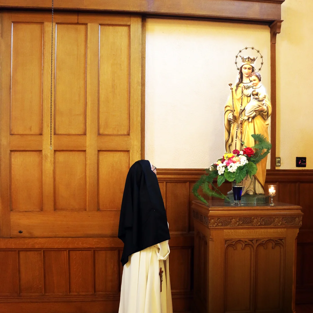2019.05.08 Patronage of BVM No text IMG_6097.jpg