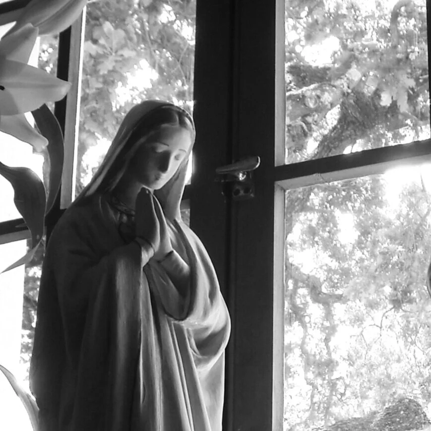 Sheltering-in-Place?  Join Mary in the Upper Room