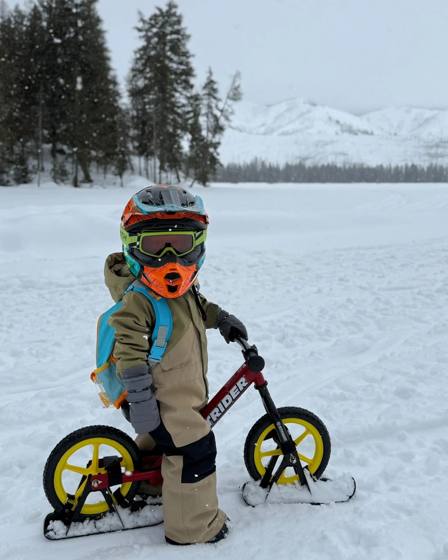 Get the kiddos ready for winter with the Strider Snow Ski's. ❄ 

#winter #strider #ski