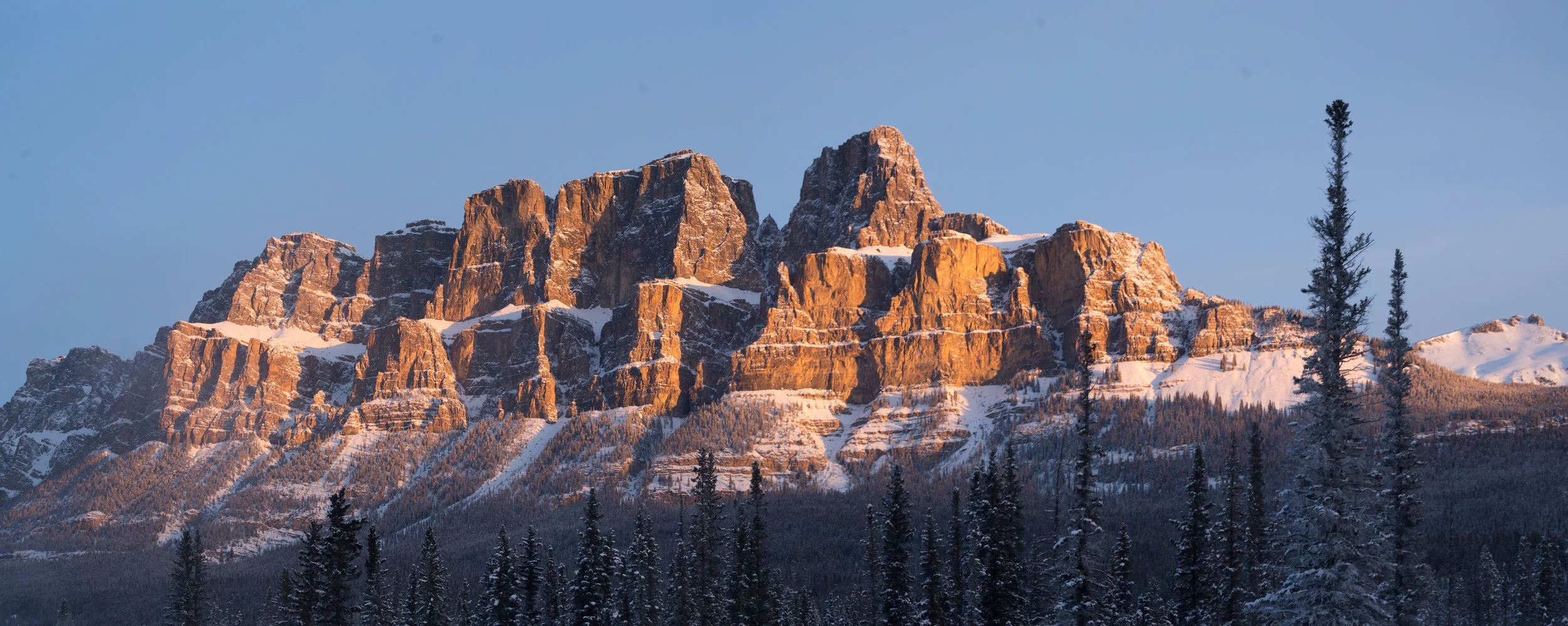 A95U7369-Pano.JPG