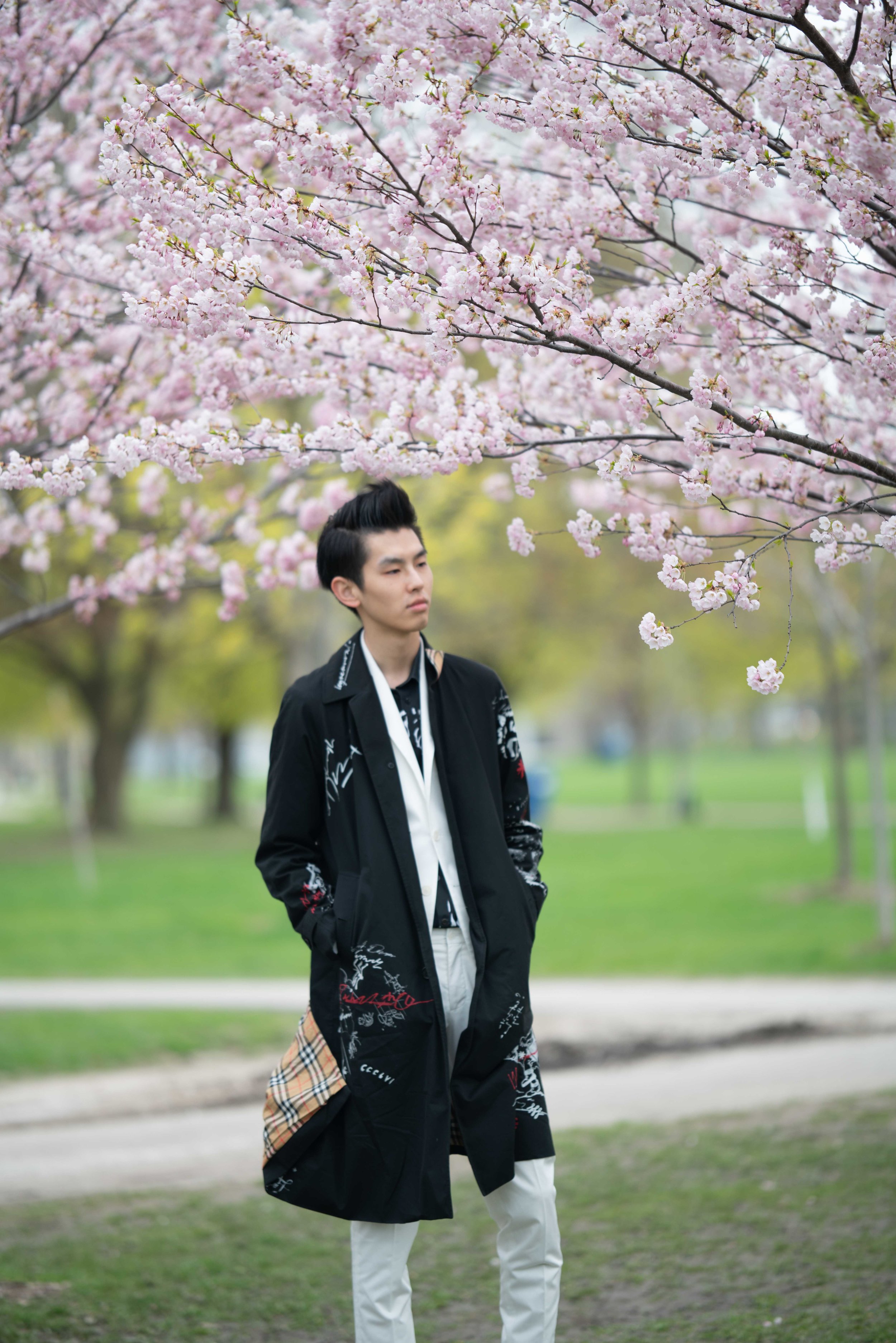 4-DP-sakura-DSC04730.jpg