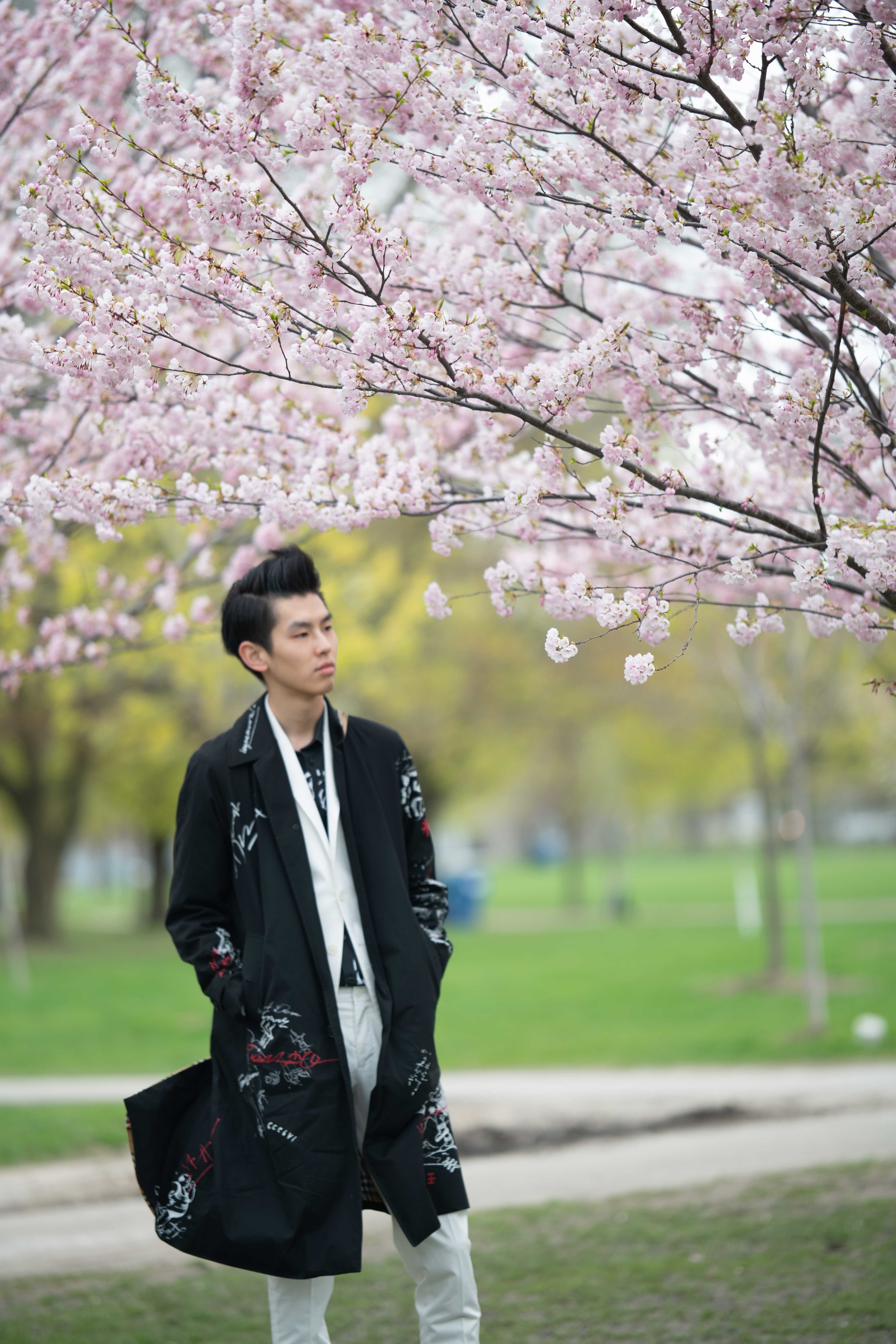 5-DP-sakura-DSC04731.jpg