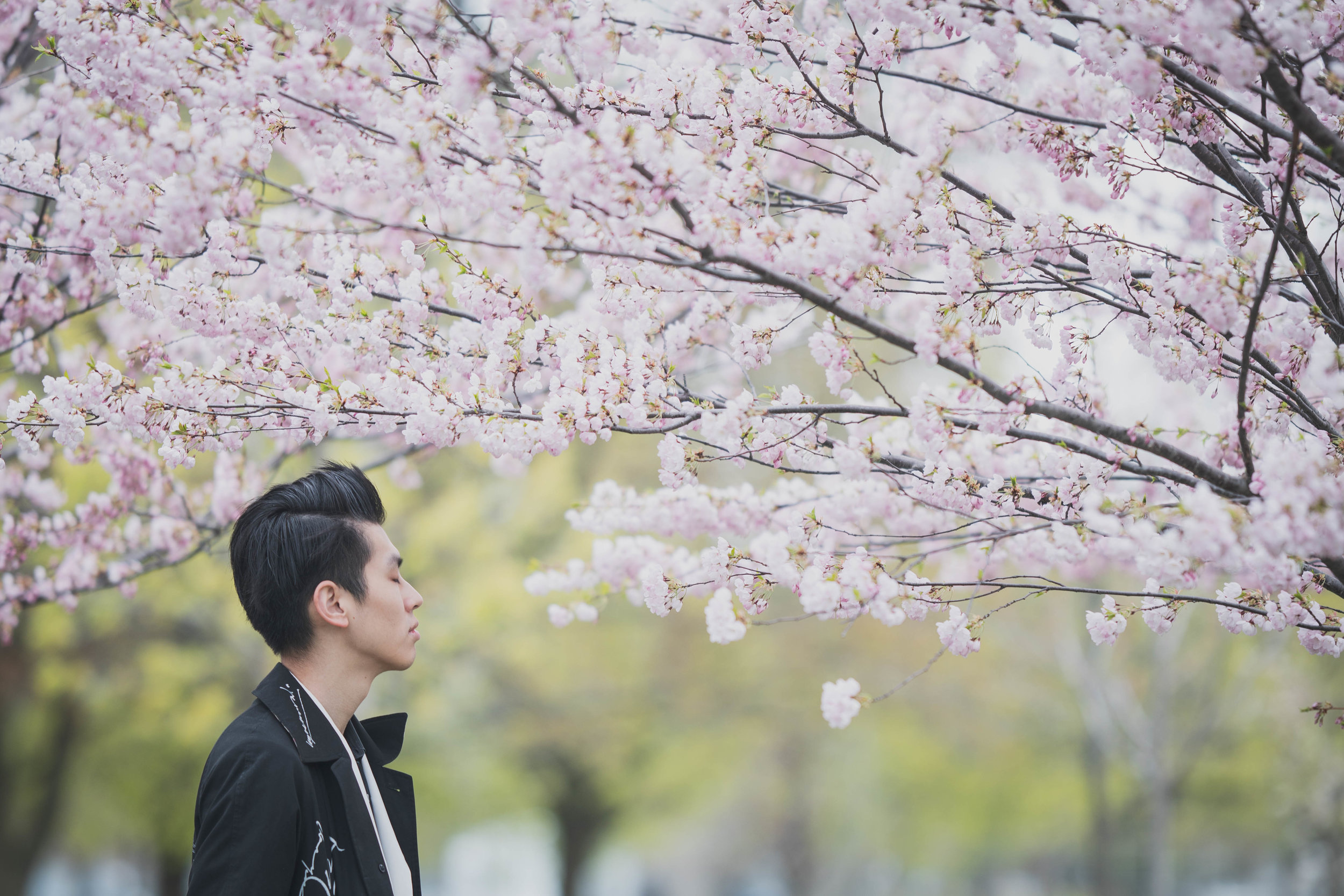 7-DP-sakura-DSC04732.jpg