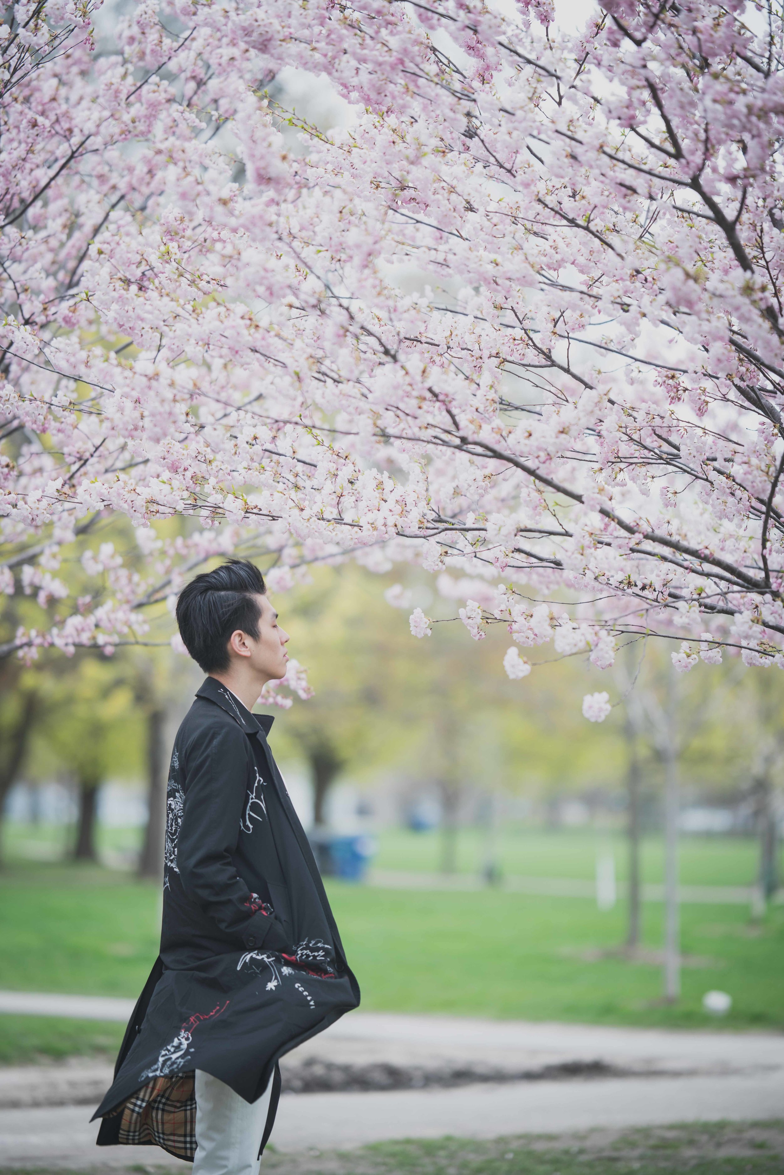 9-DP-sakura-DSC04733.jpg