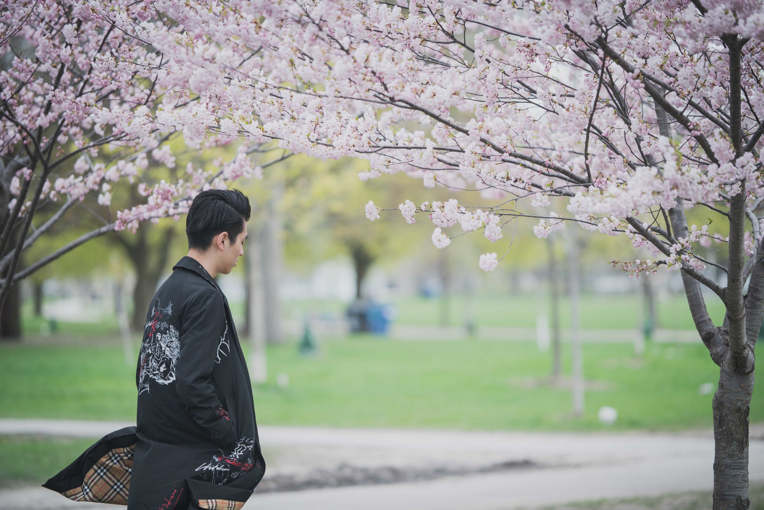 11-DP-sakura-DSC04738.jpg