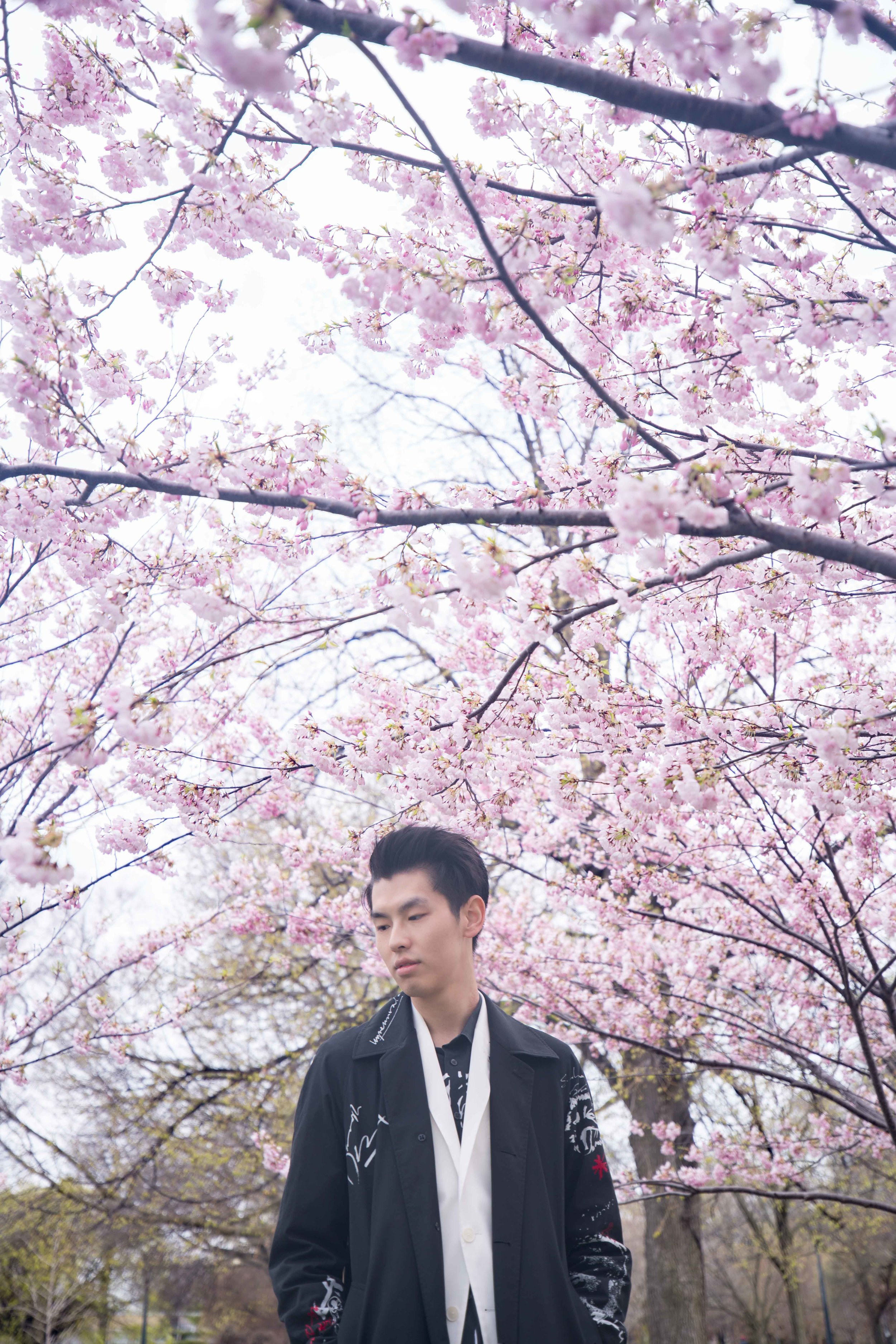 12-DP-sakura-DSC04742.jpg