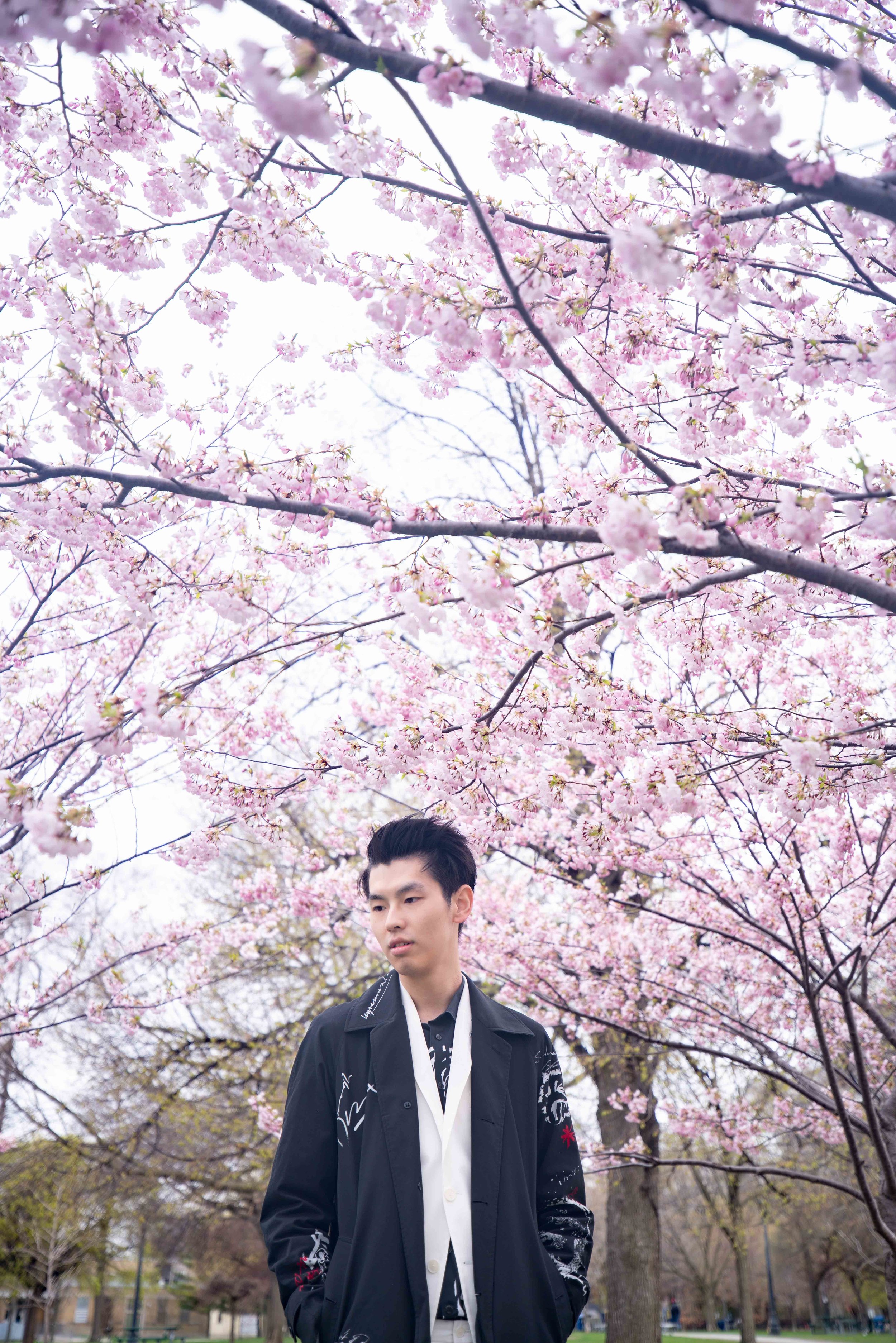 14-DP-sakura-DSC04743.jpg