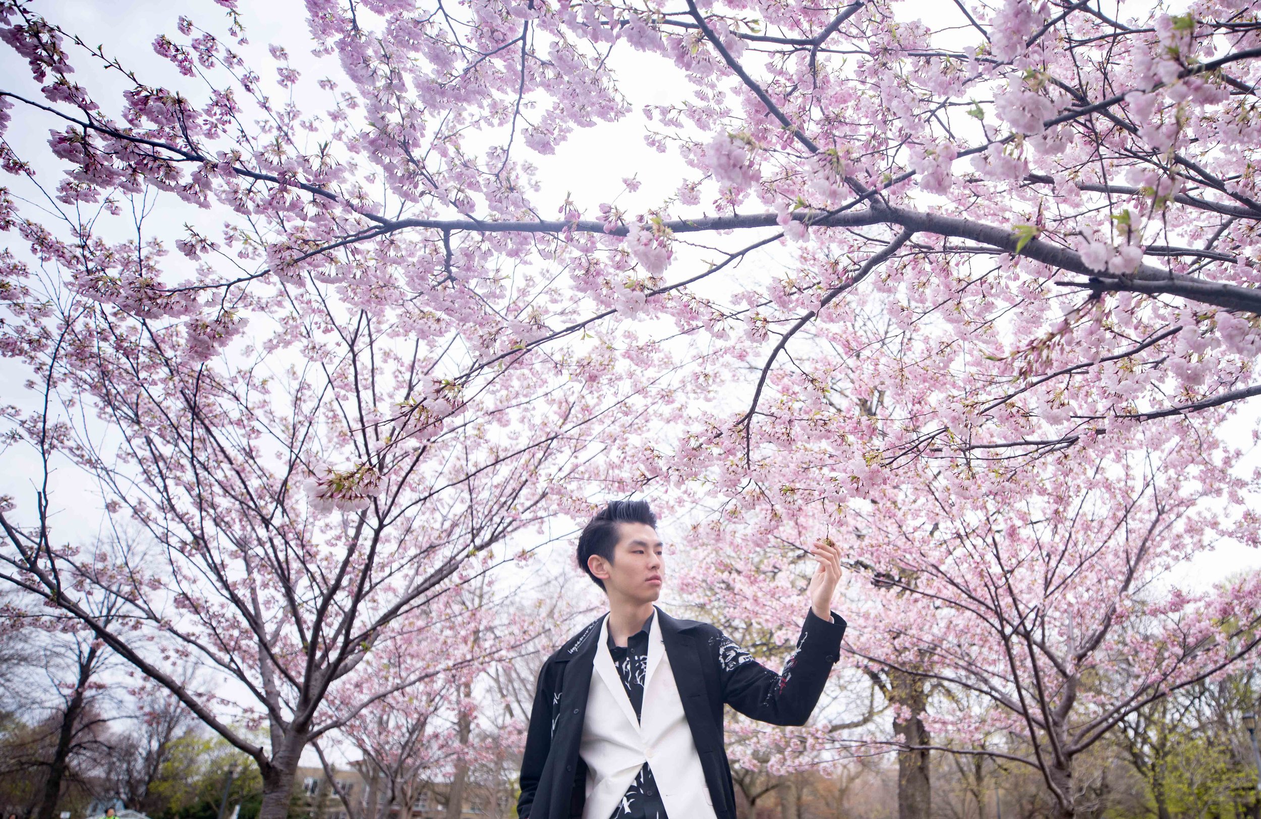 16-DP-sakura-DSC04753.jpg
