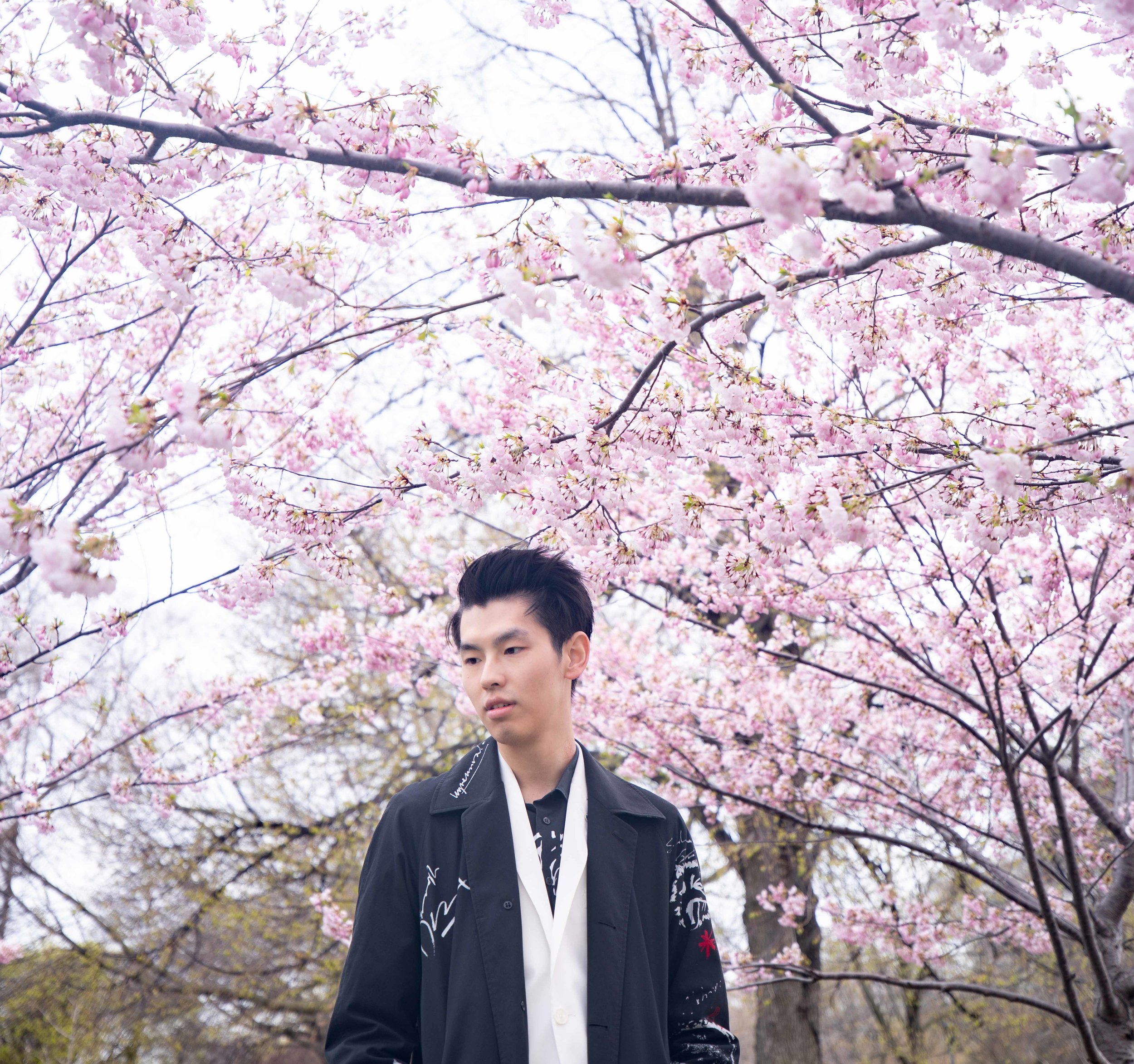 15-DP-sakura-DSC04743.jpg