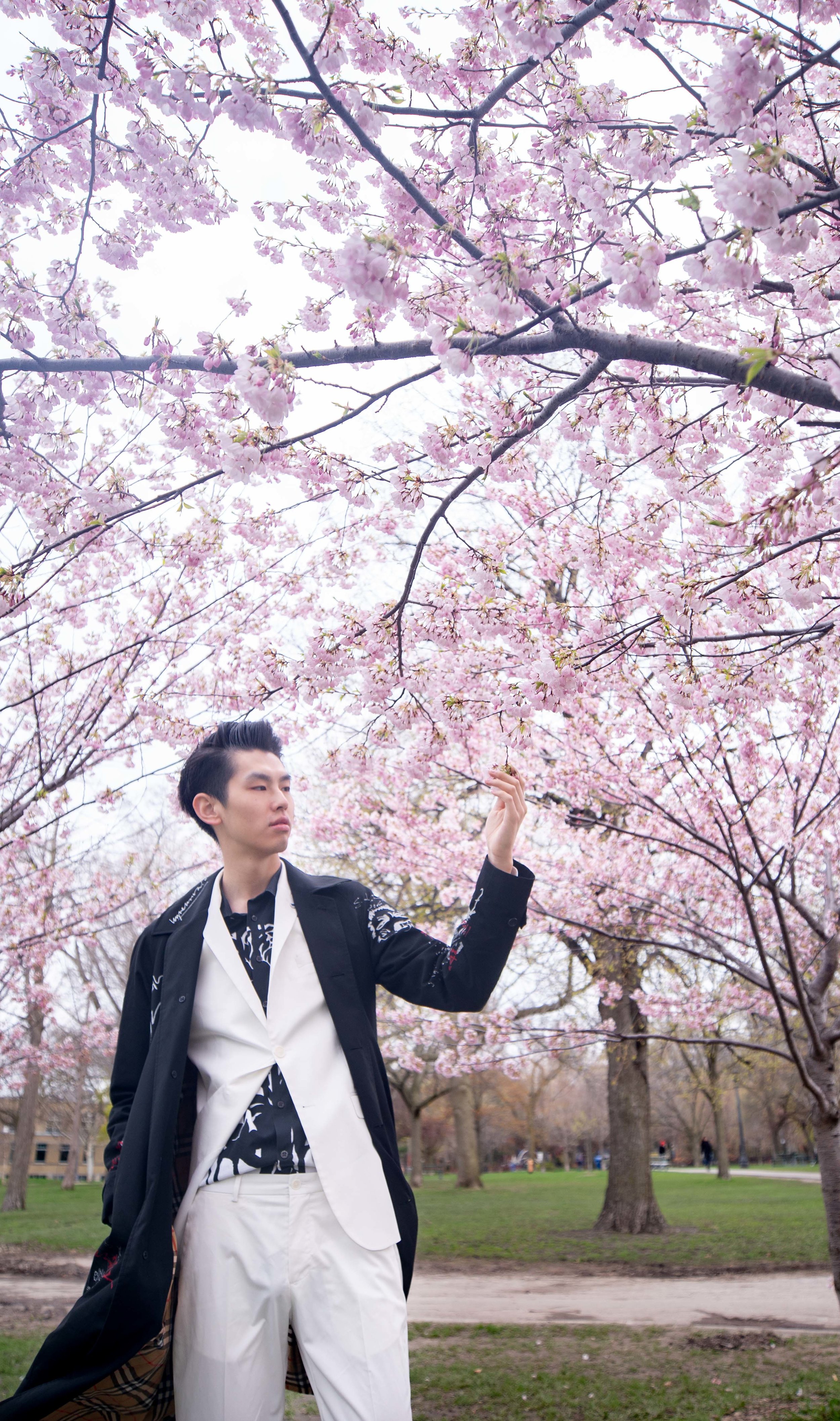 17-DP-sakura-DSC04753.jpg