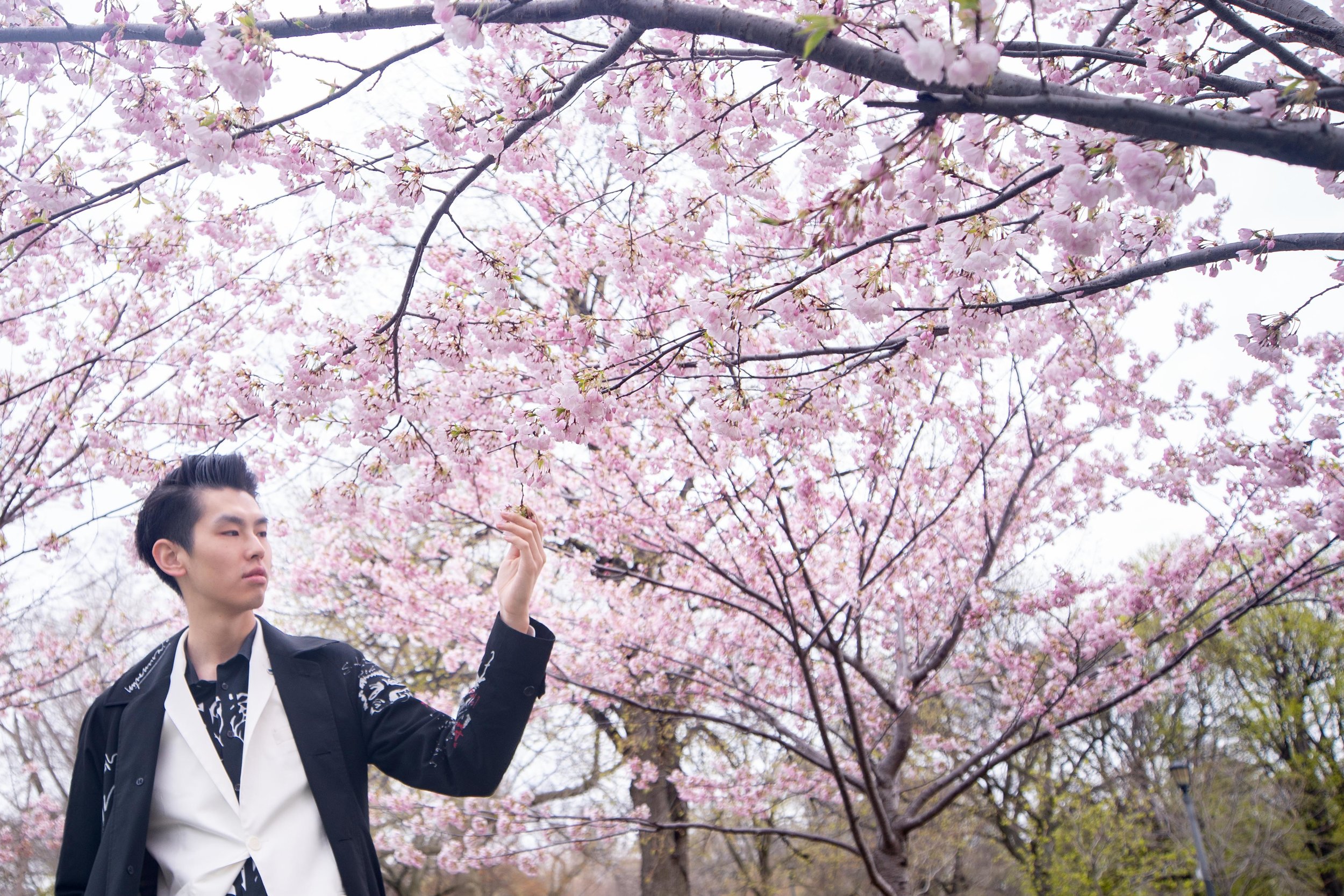 18-DP-sakura-DSC04753.jpg
