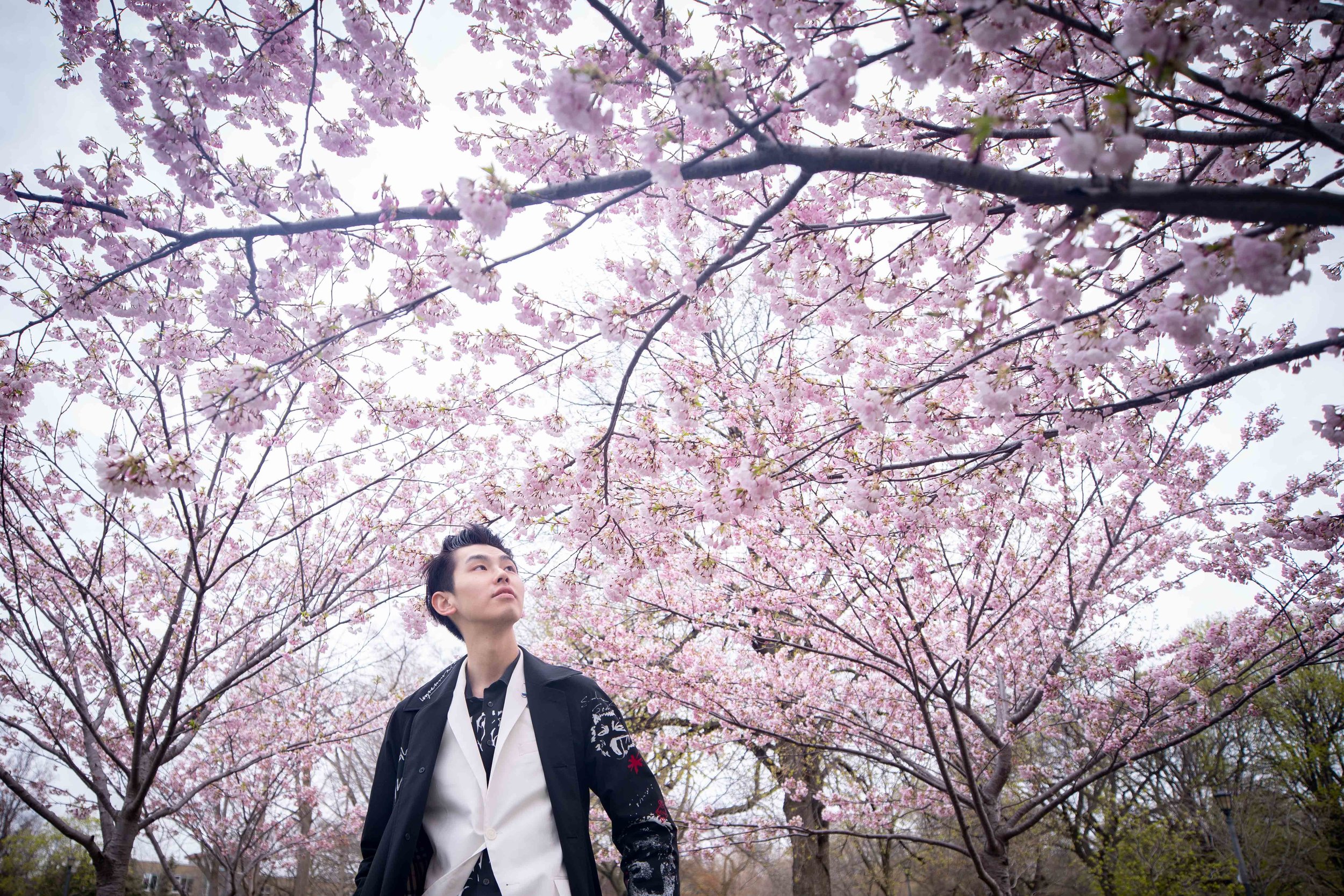 21-DP-sakura-DSC04755.jpg