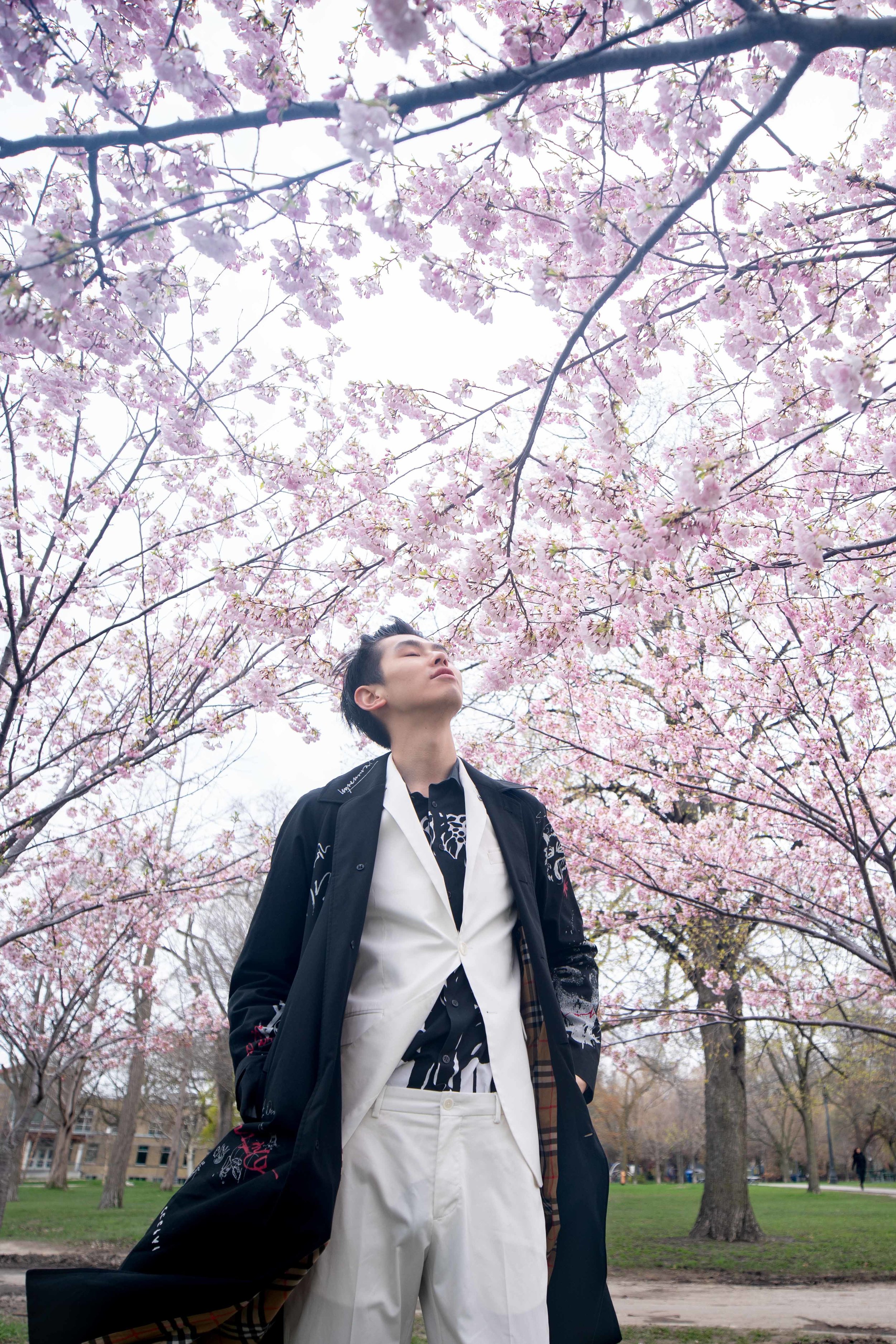 23-DP-sakura-DSC04756.jpg