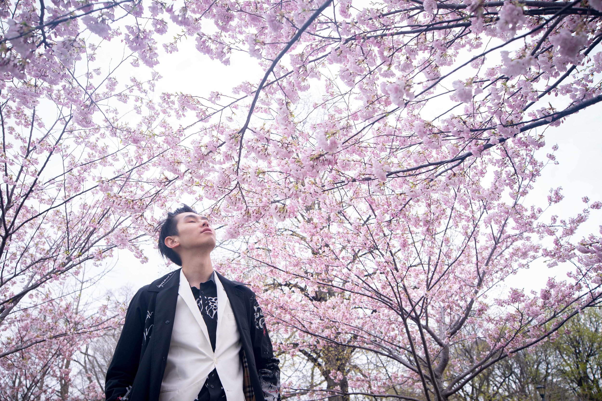25-DP-sakura-DSC04756.jpg