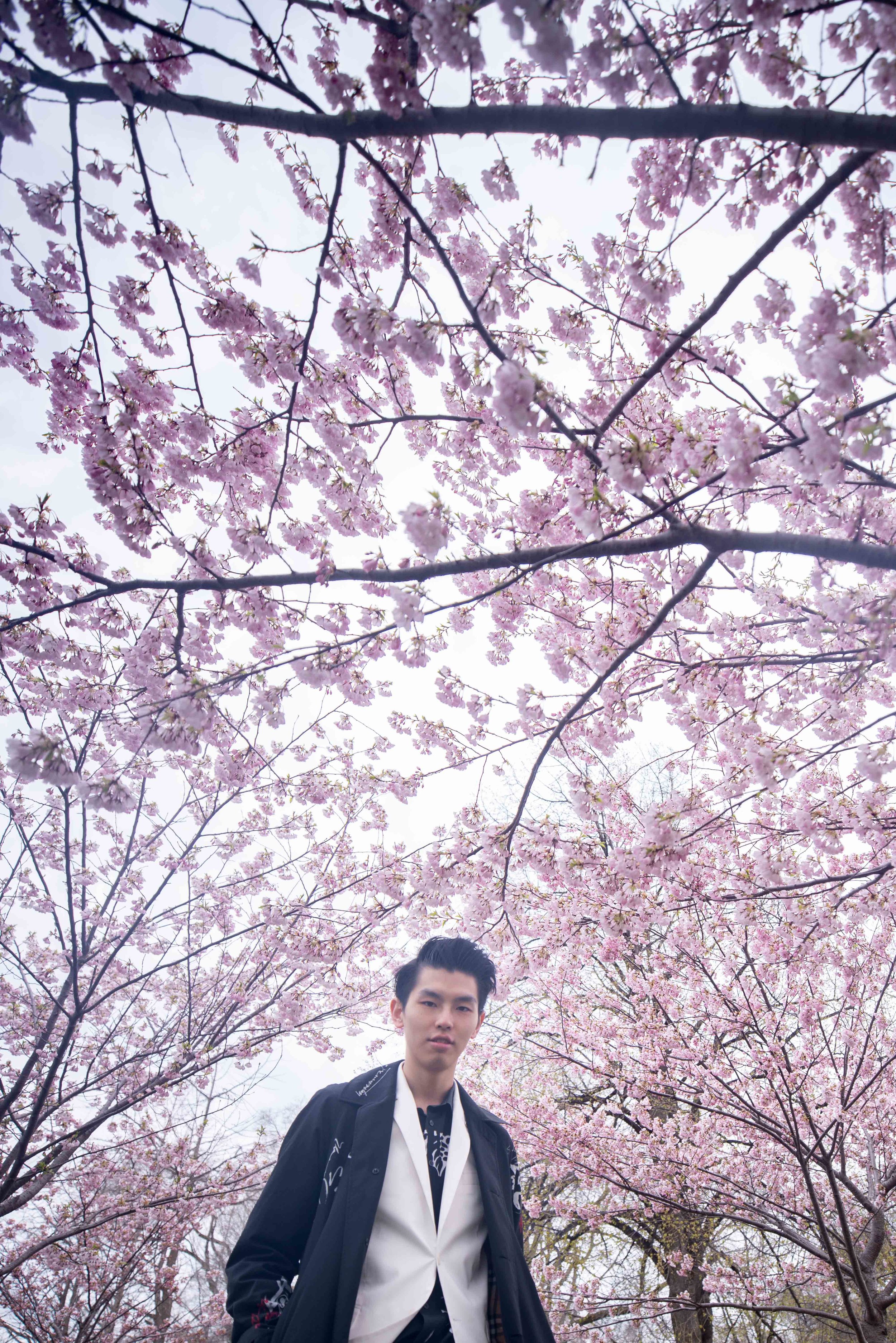 26-DP-sakura-DSC04757.jpg