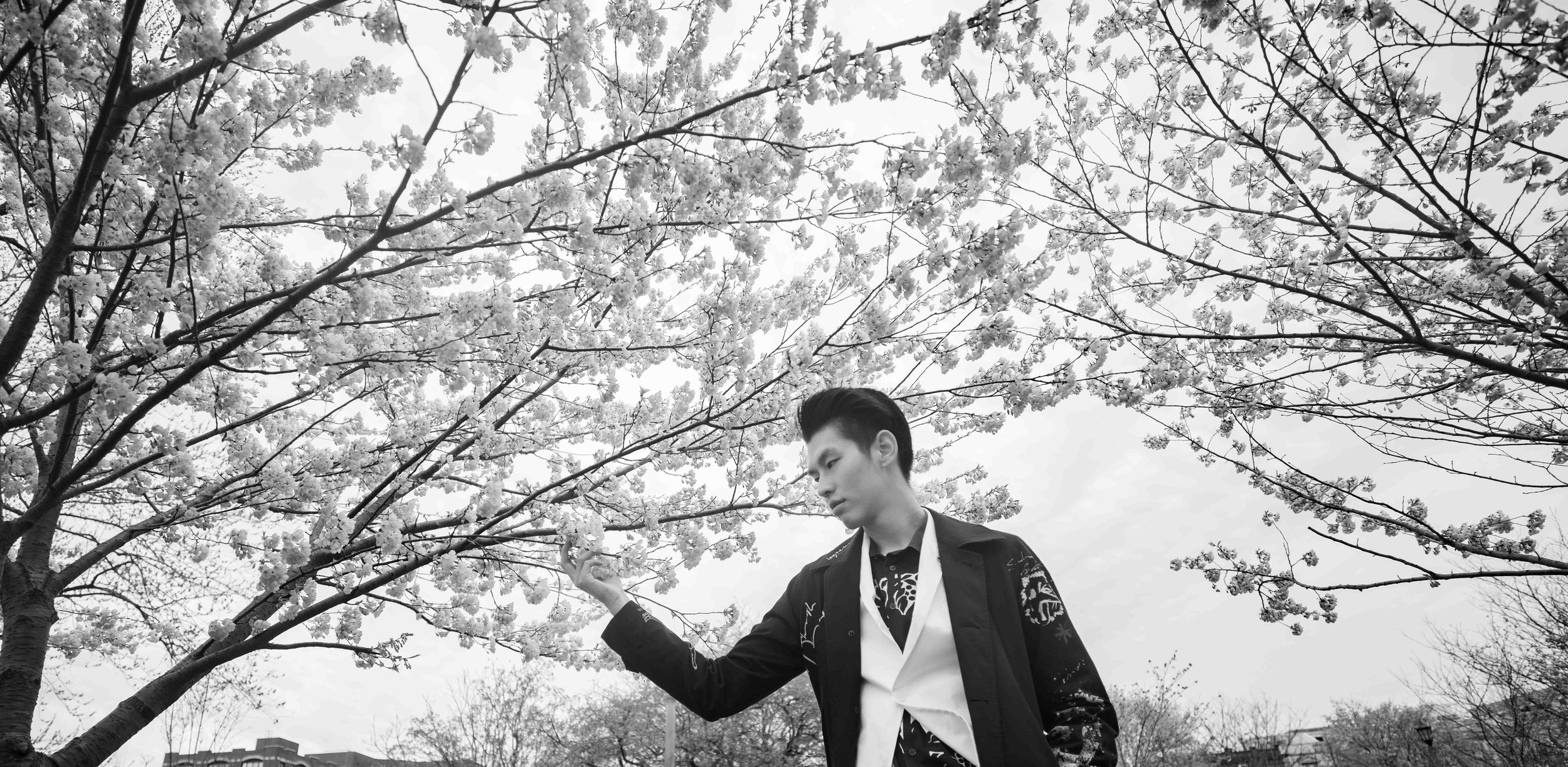31-DP-sakura-DSC04760.jpg
