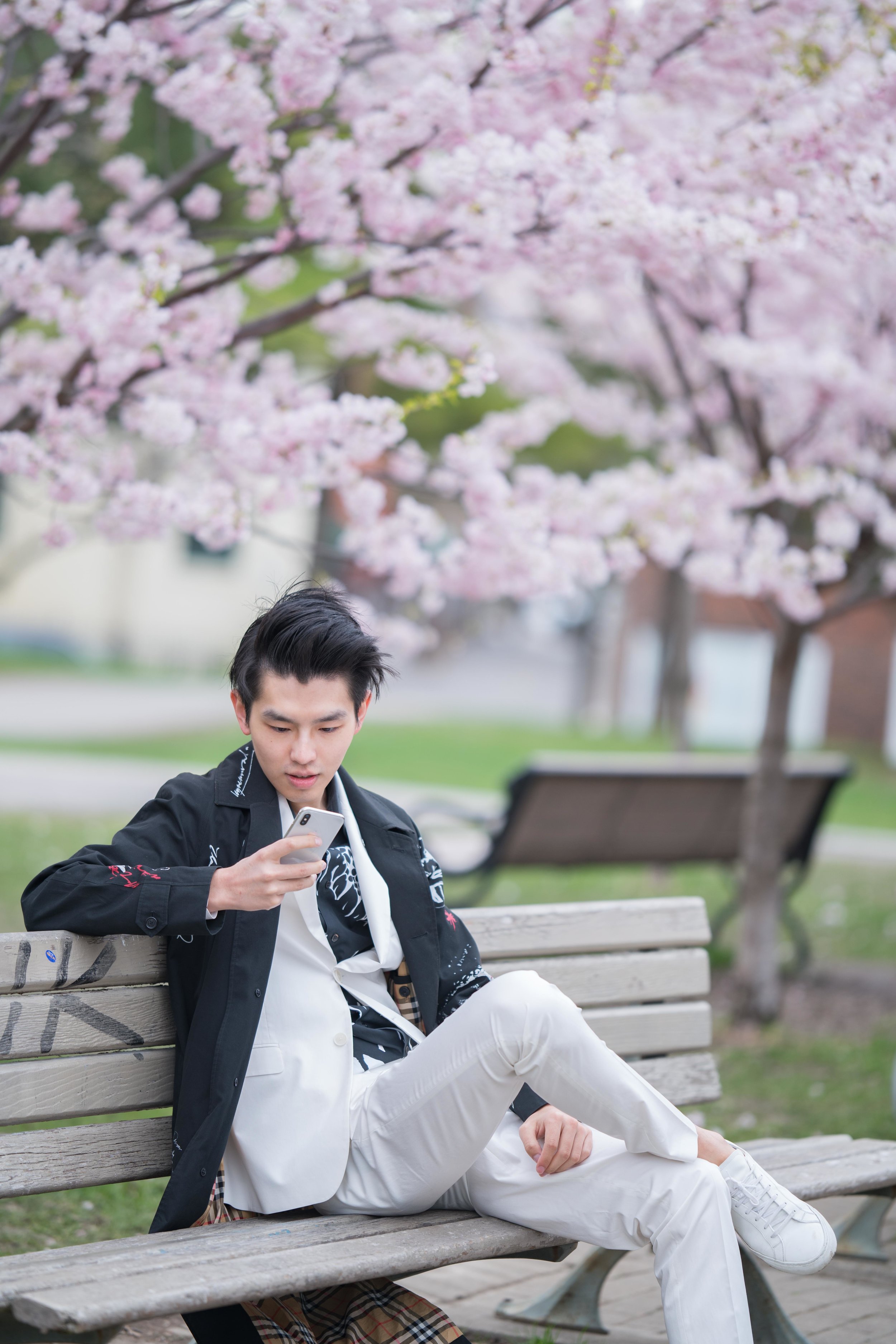 32-DP-sakura-DSC04774.jpg