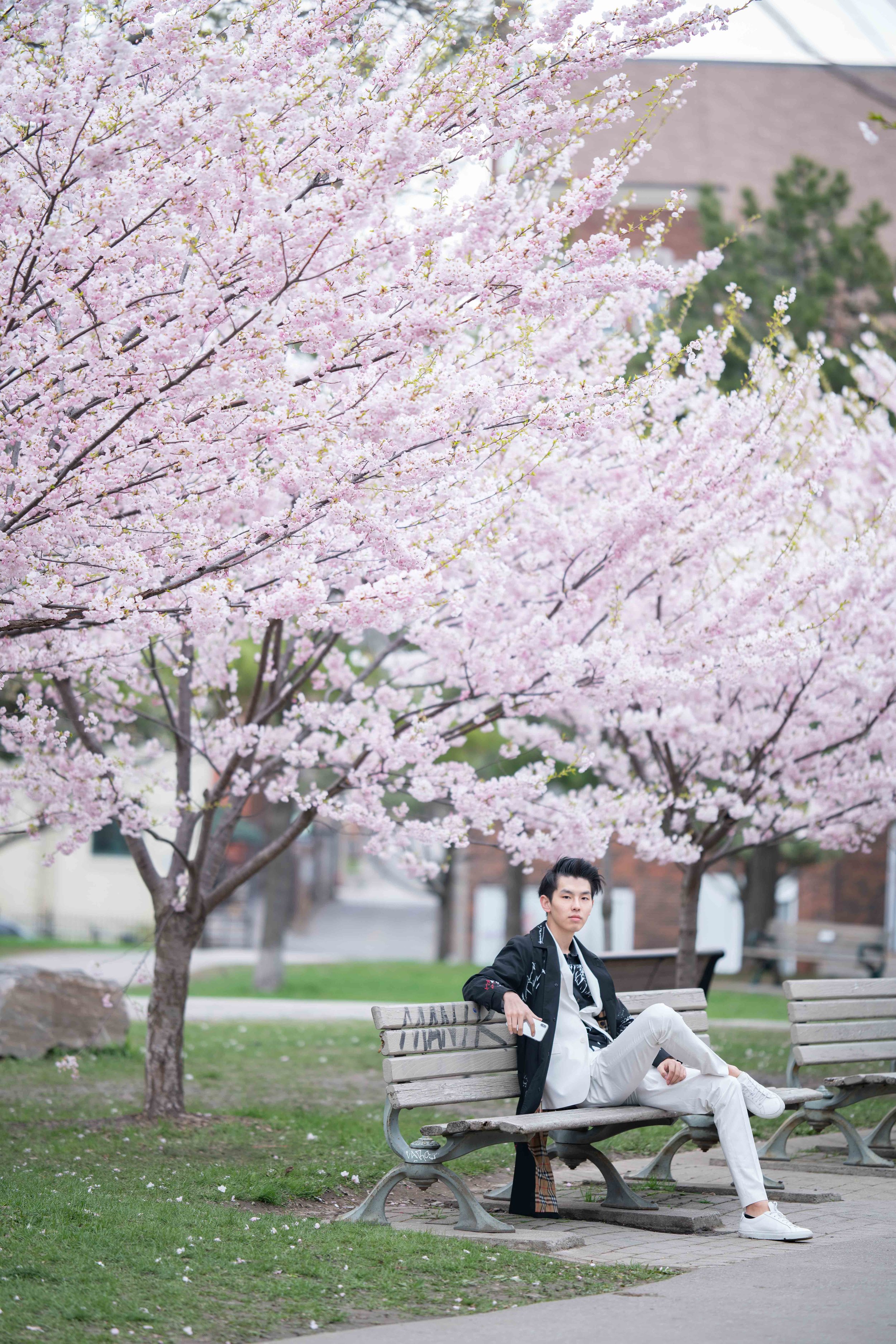 37-DP-sakura-DSC04778.jpg