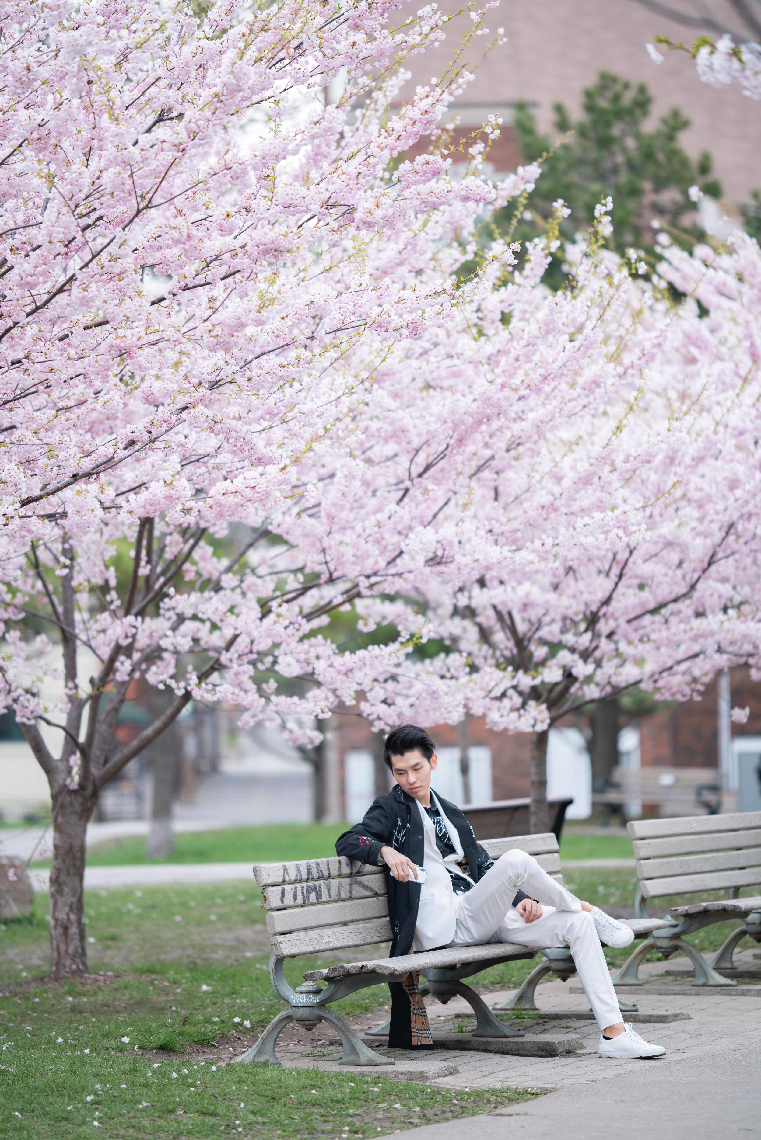 38-DP-sakura-DSC04779.jpg