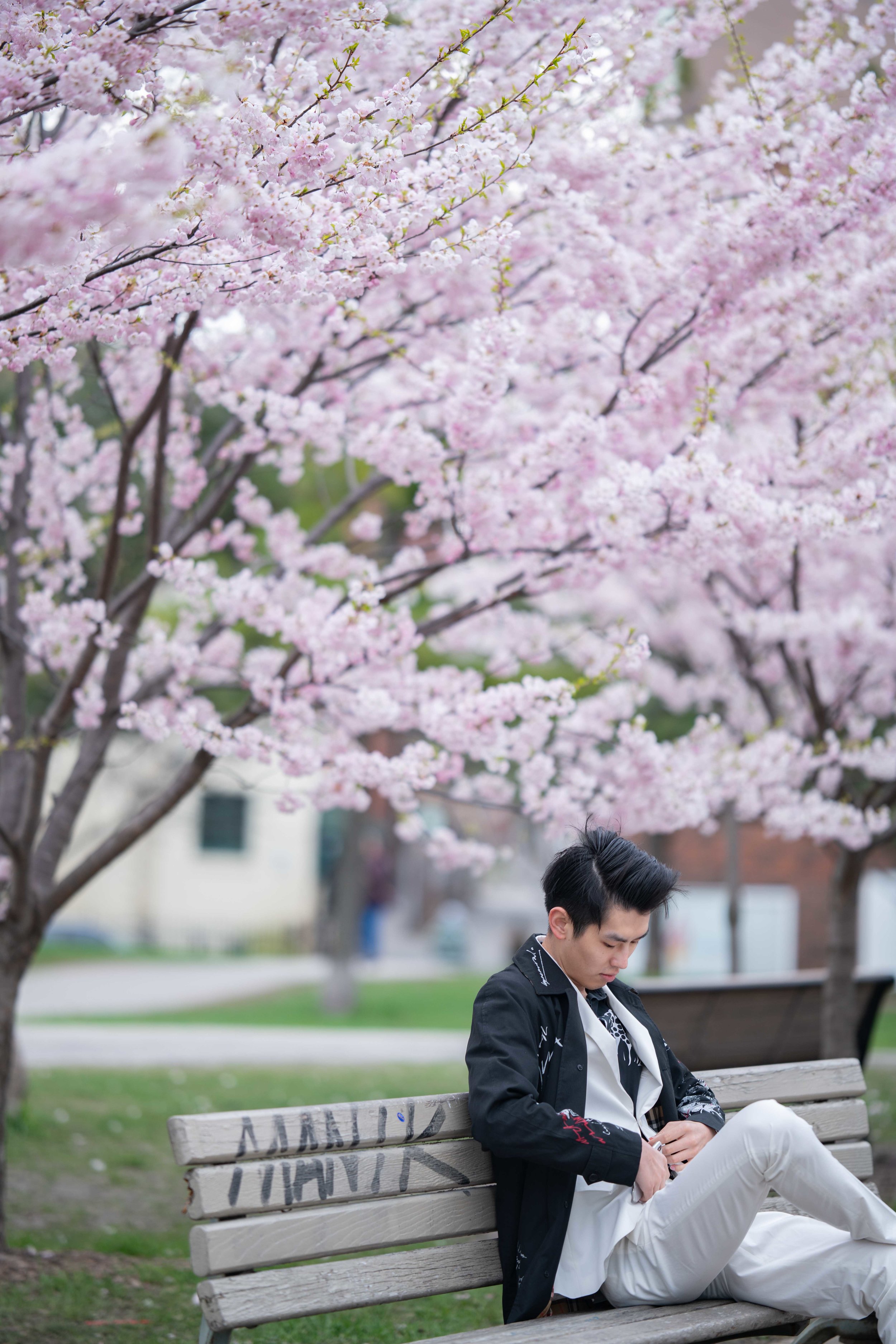 39-DP-sakura-DSC04783.jpg