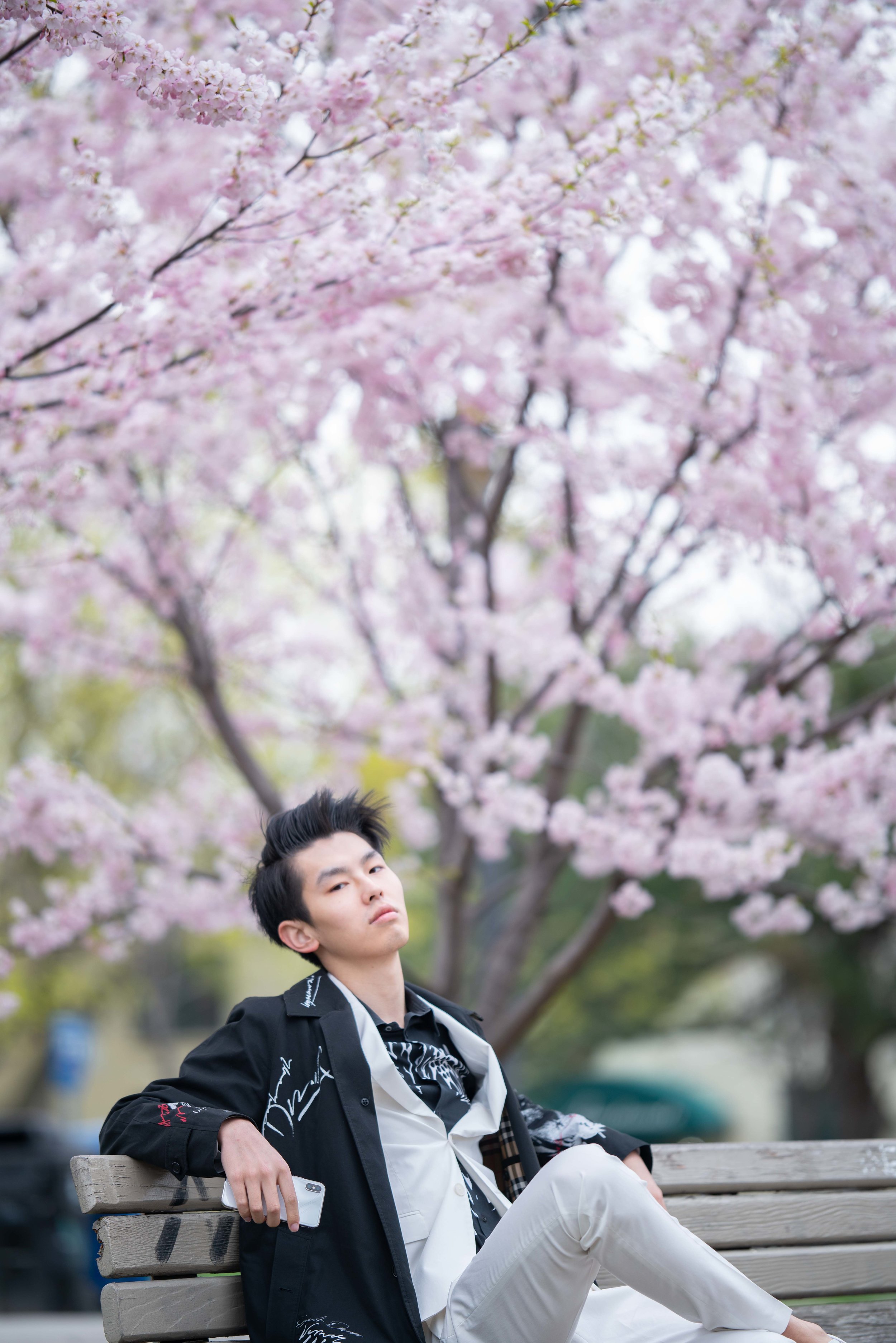 43-DP-sakura-DSC04787.jpg