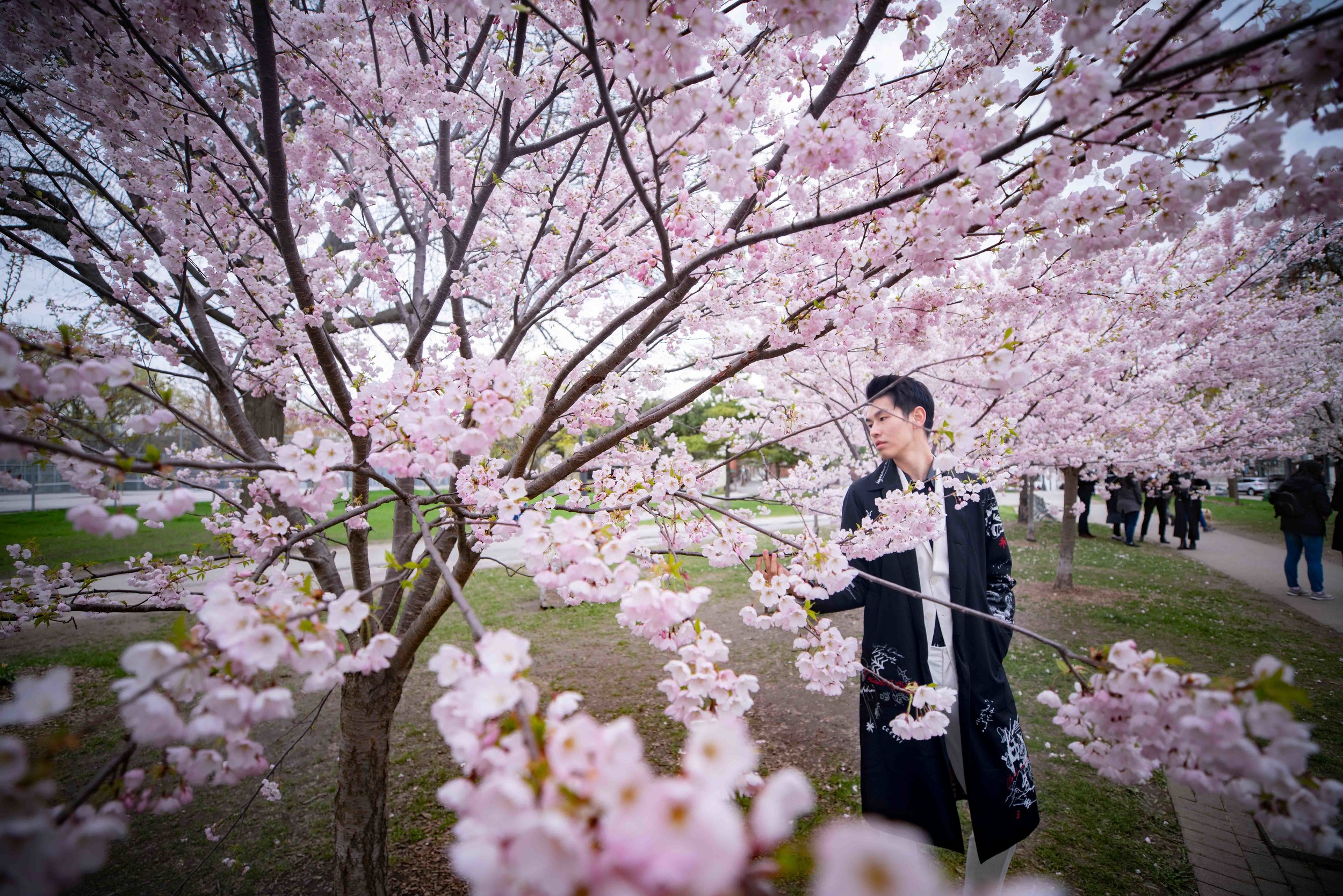 51-DP-sakura-DSC04804.jpg