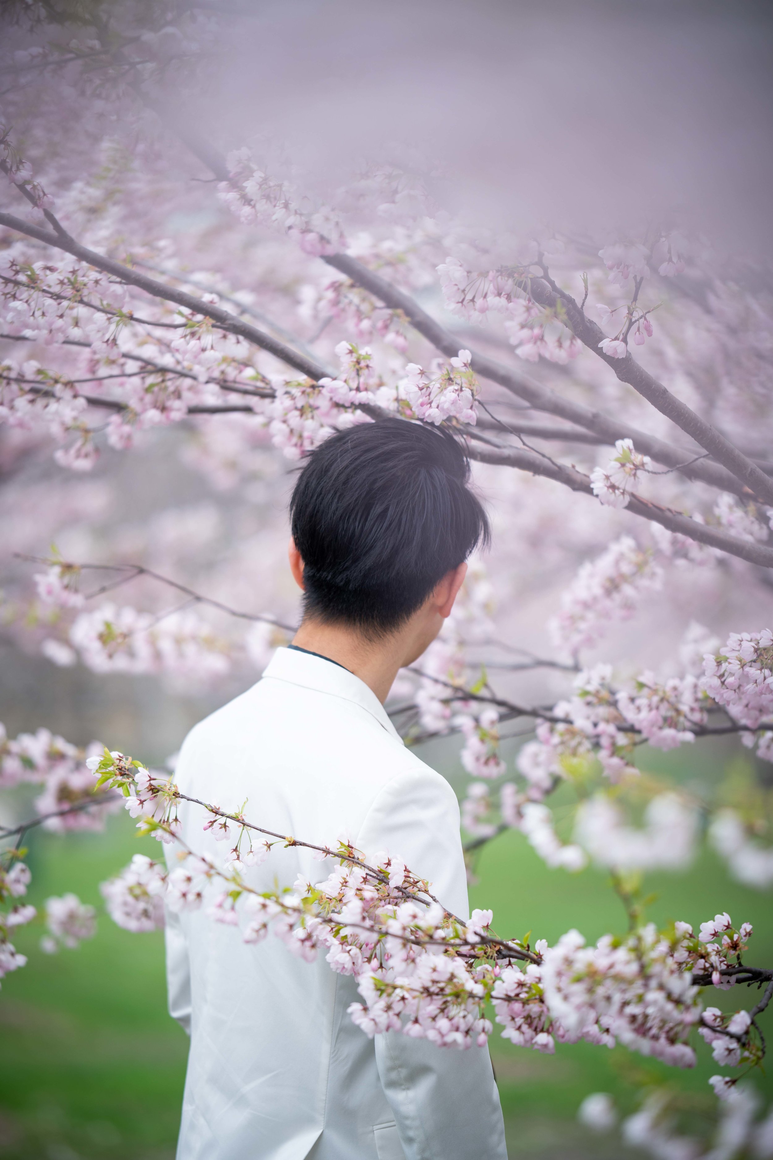 57-DP-sakura-DSC04813.jpg