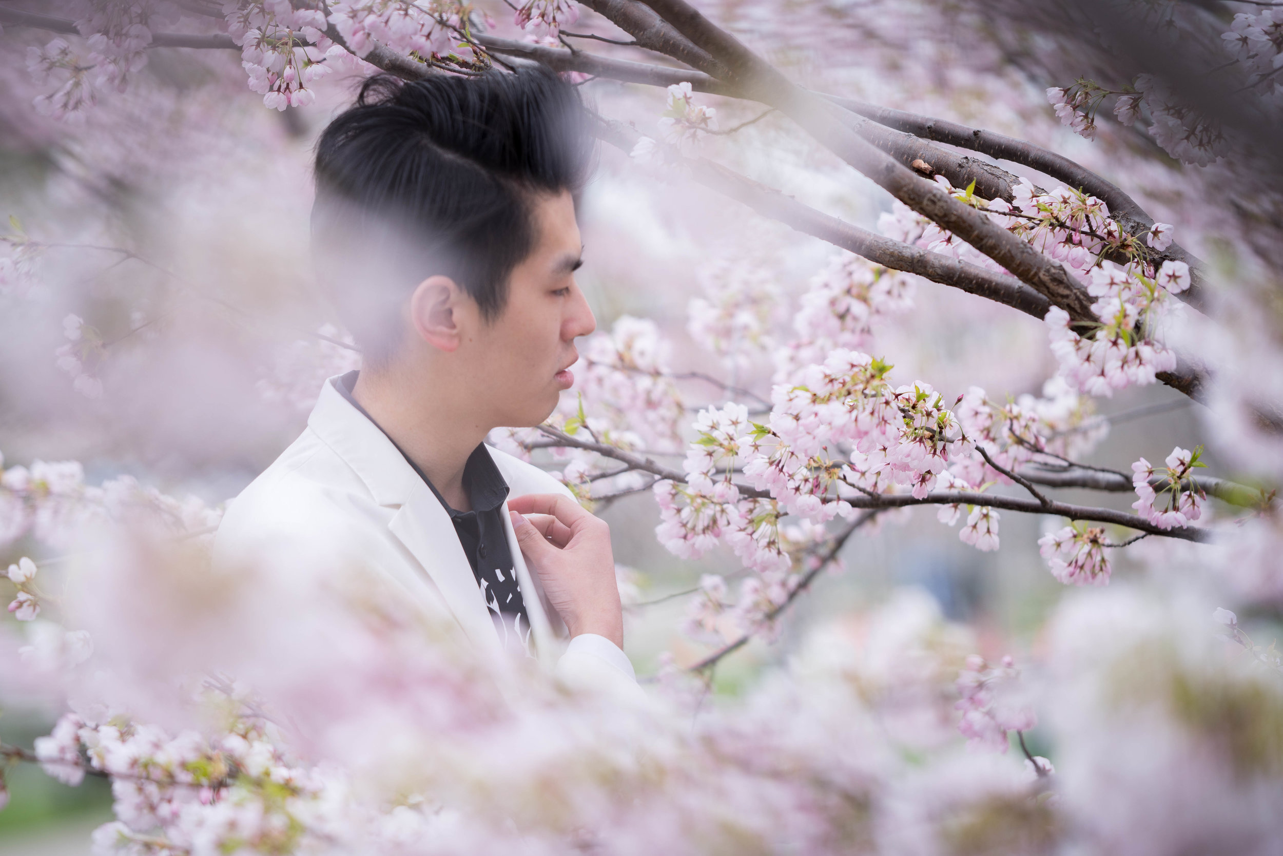 58-DP-sakura-DSC04818.jpg