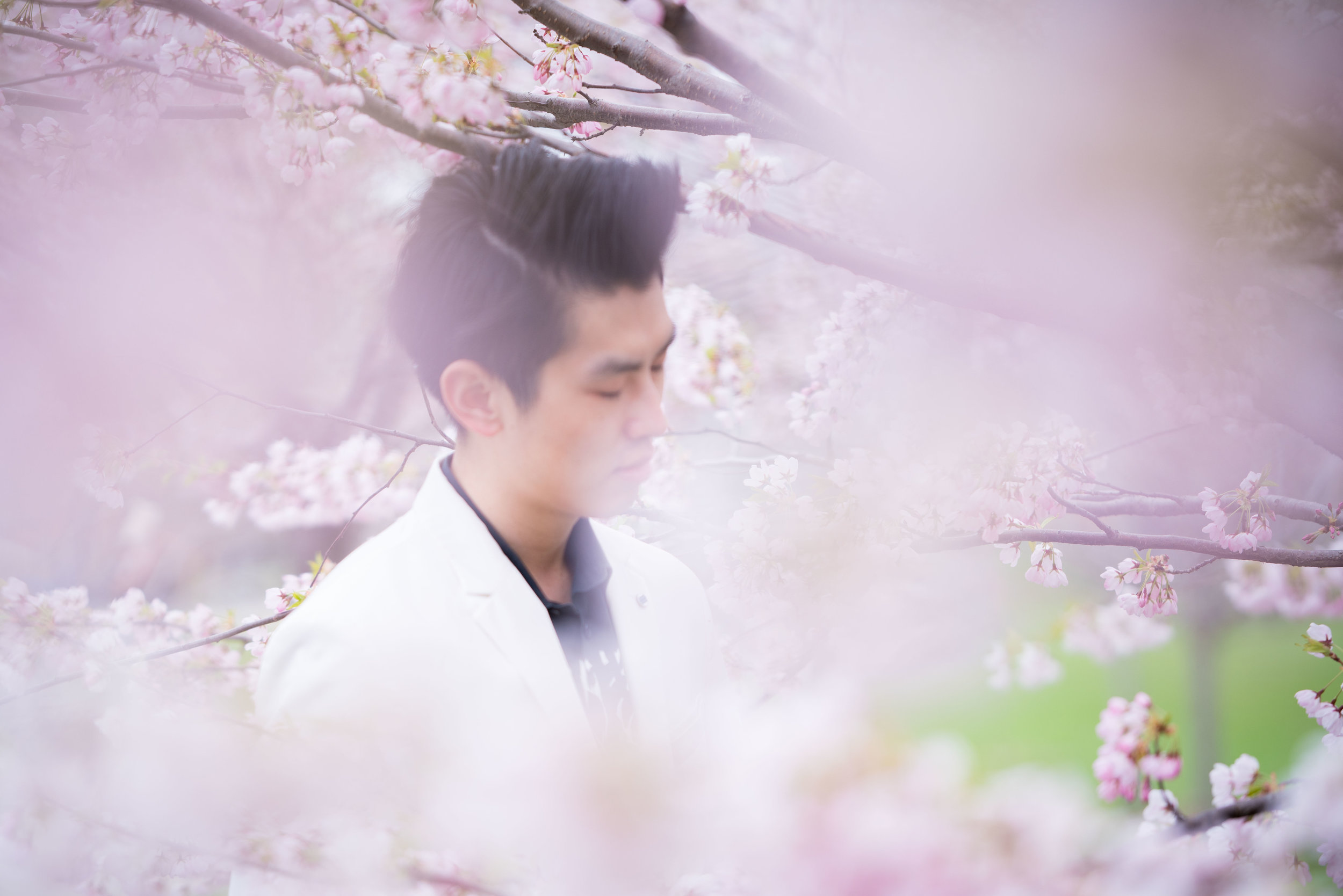 62-DP-sakura-DSC04836.jpg