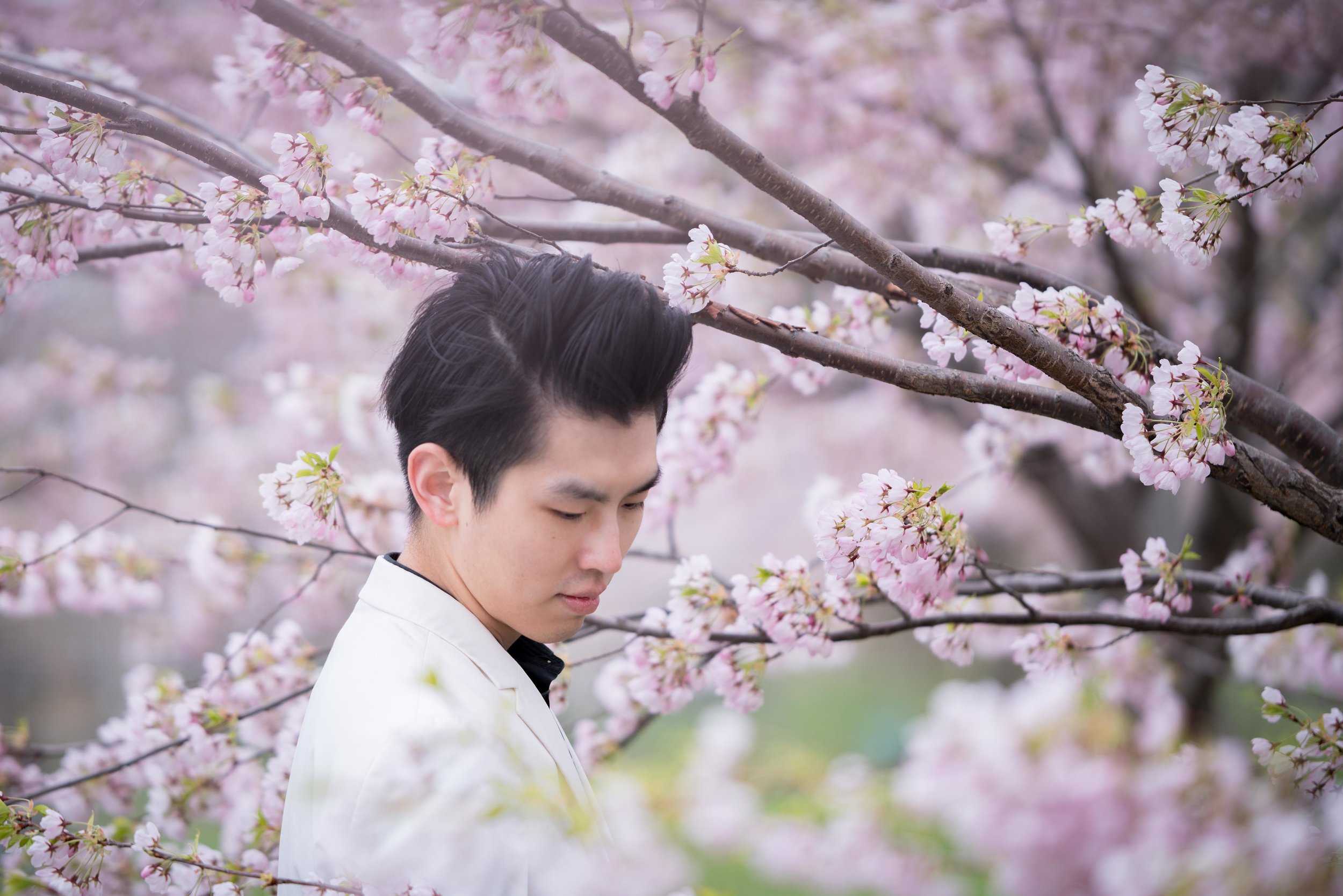 64-DP-sakura-DSC04844.jpg